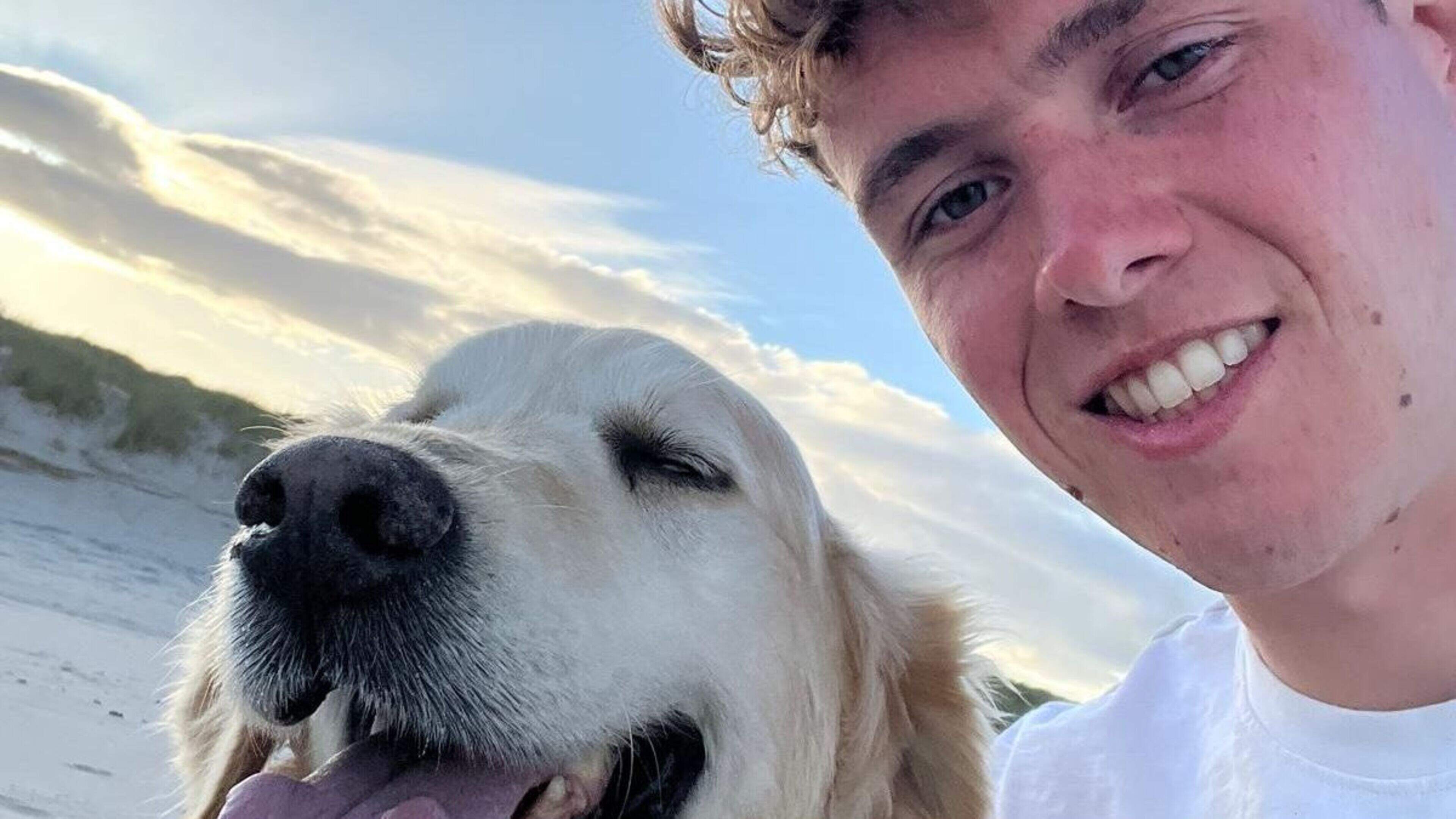 Wexford veterinary student behind ‘Tinder for dogs’ initiative launches new website in bid to cut shelter surrenders