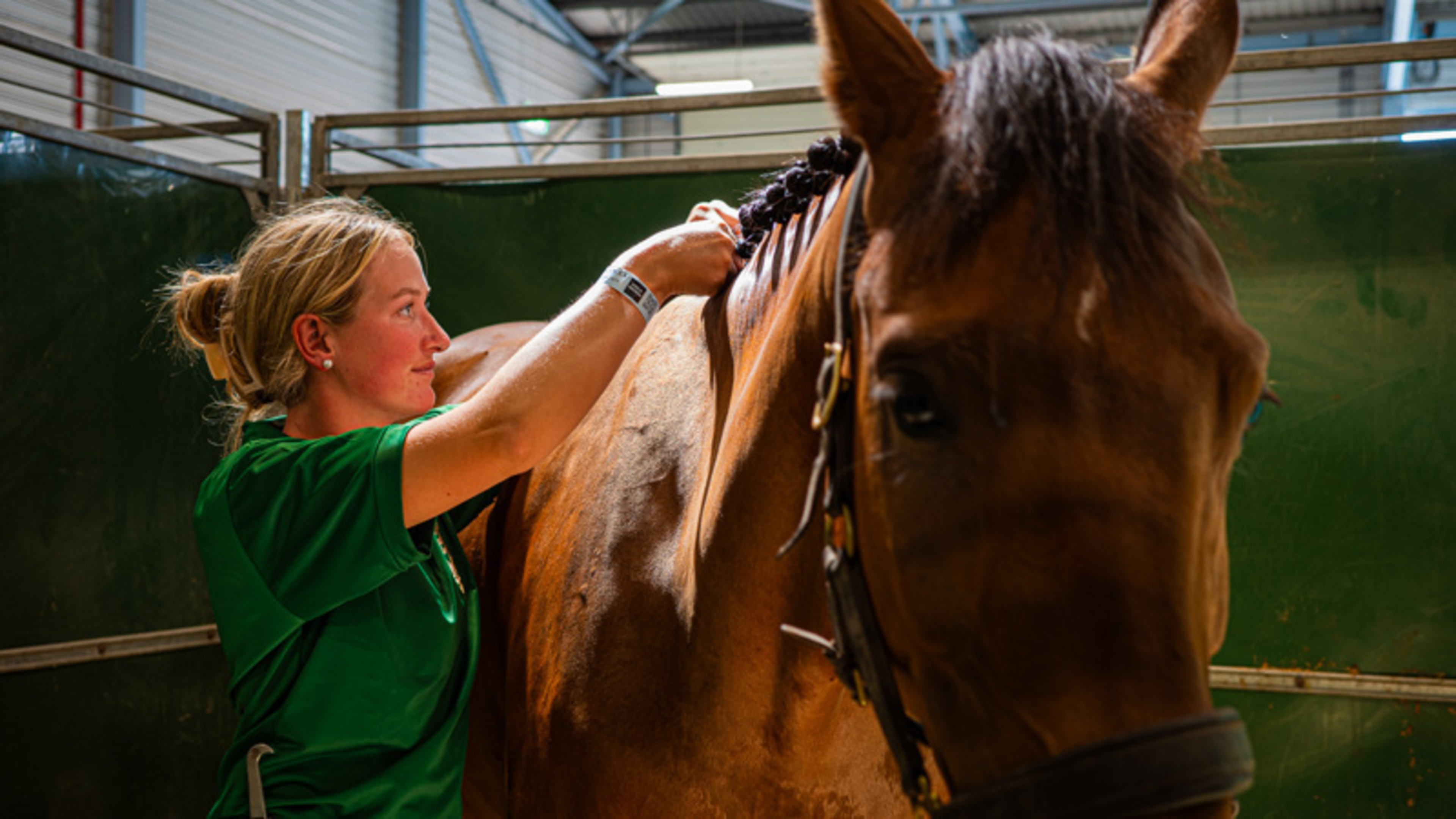 ‘We work by day, party at night’ – meet the stable staff behind the scenes at the Dublin Horse Show