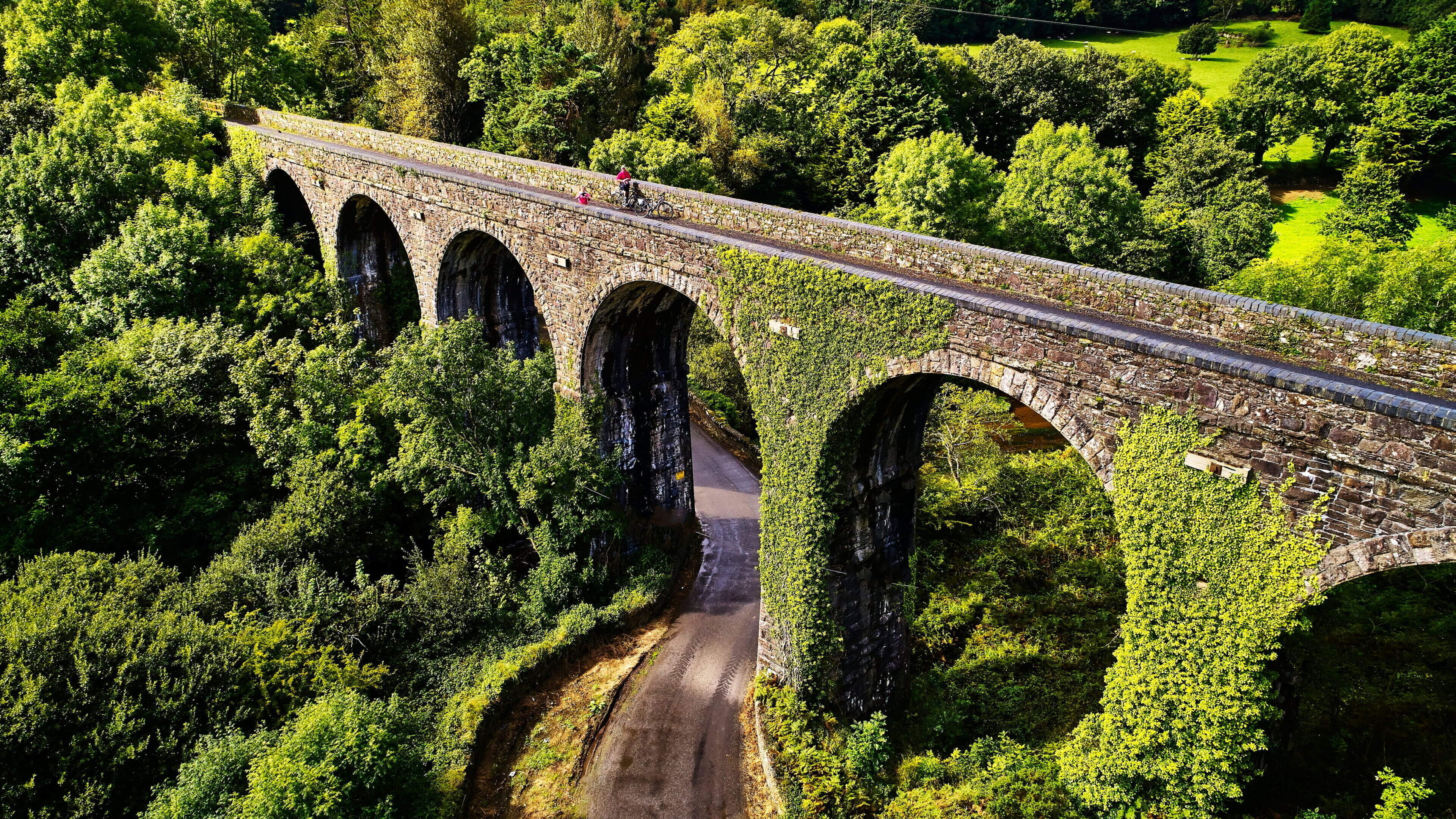Édaein O’Connell: Greenways are great, but it would be even better to have our railways back