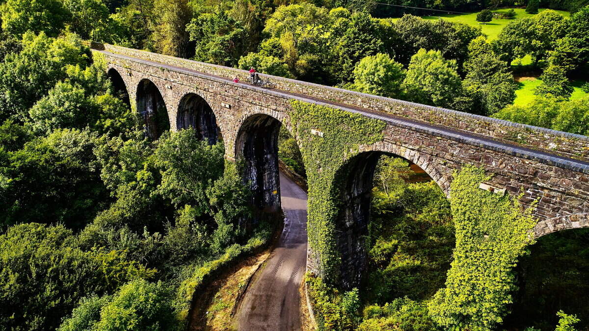 Édaein O'Connell: Greenways are great, but it would be even better to have our railways back