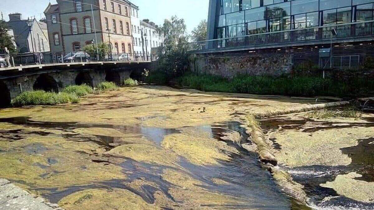 River Suir in parts of Tipperary still an 'eyesore' despite water quality improvements