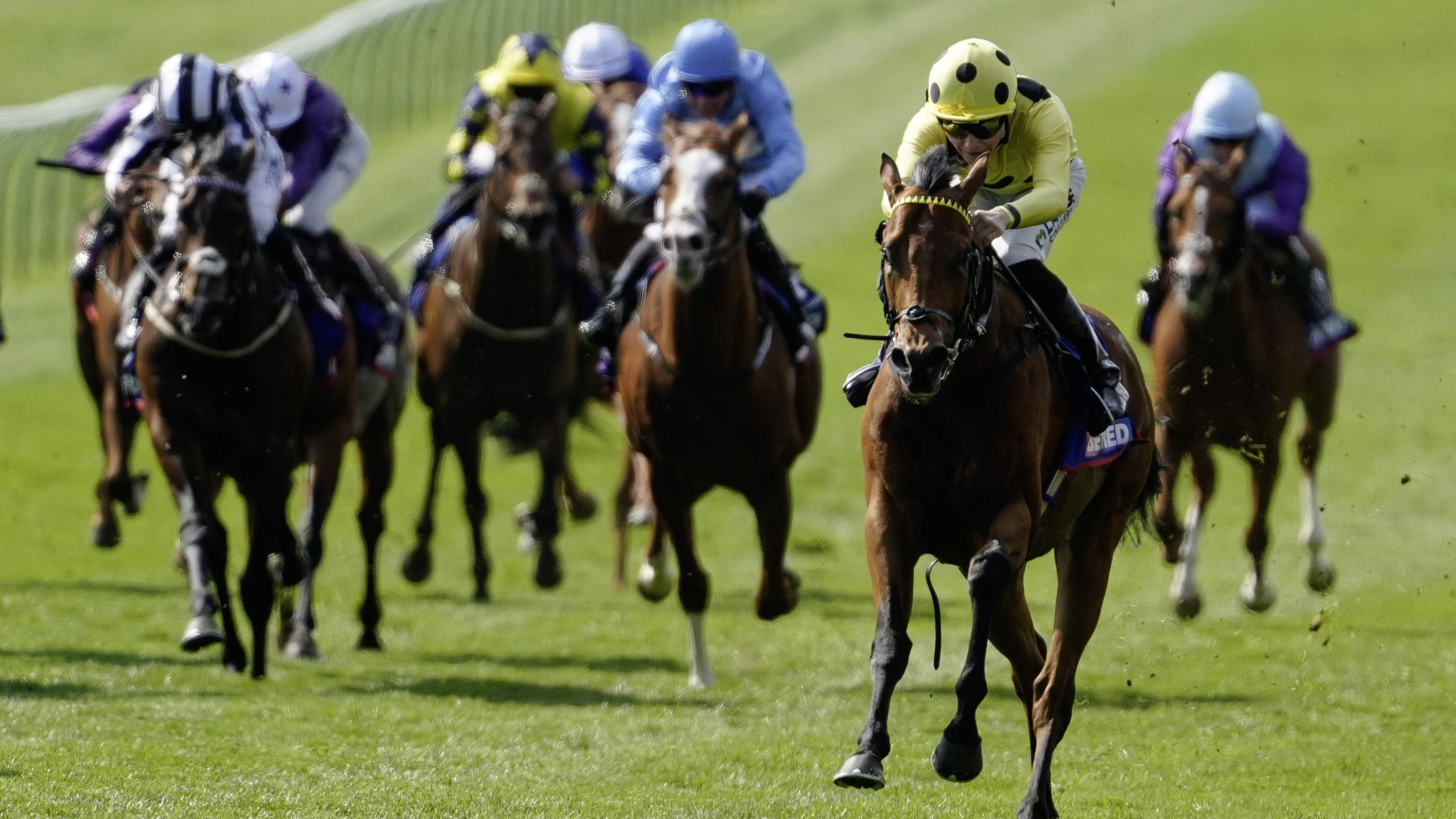 Bow Echo team gunning to take on Aidan O’Brien’s Gstaad at Royal Ascot