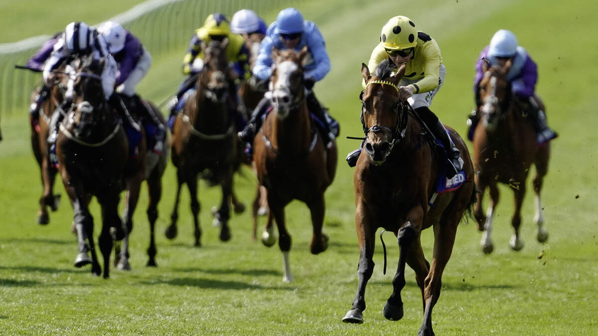 Bow Echo team gunning to take on Aidan O'Brien's Gstaad at Royal Ascot