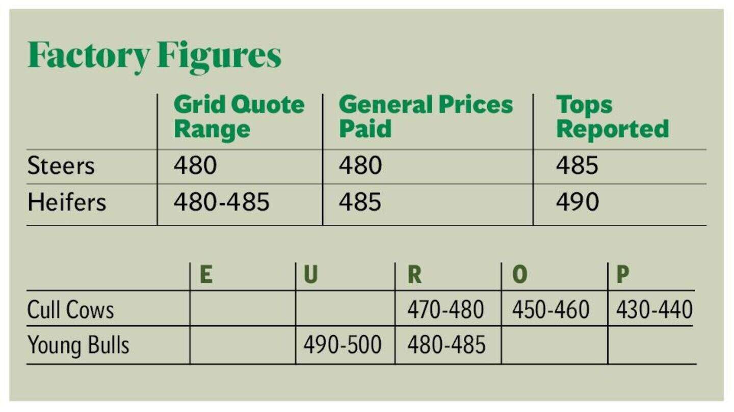 Declining carcase weights are playing a major part in factories’ price ...