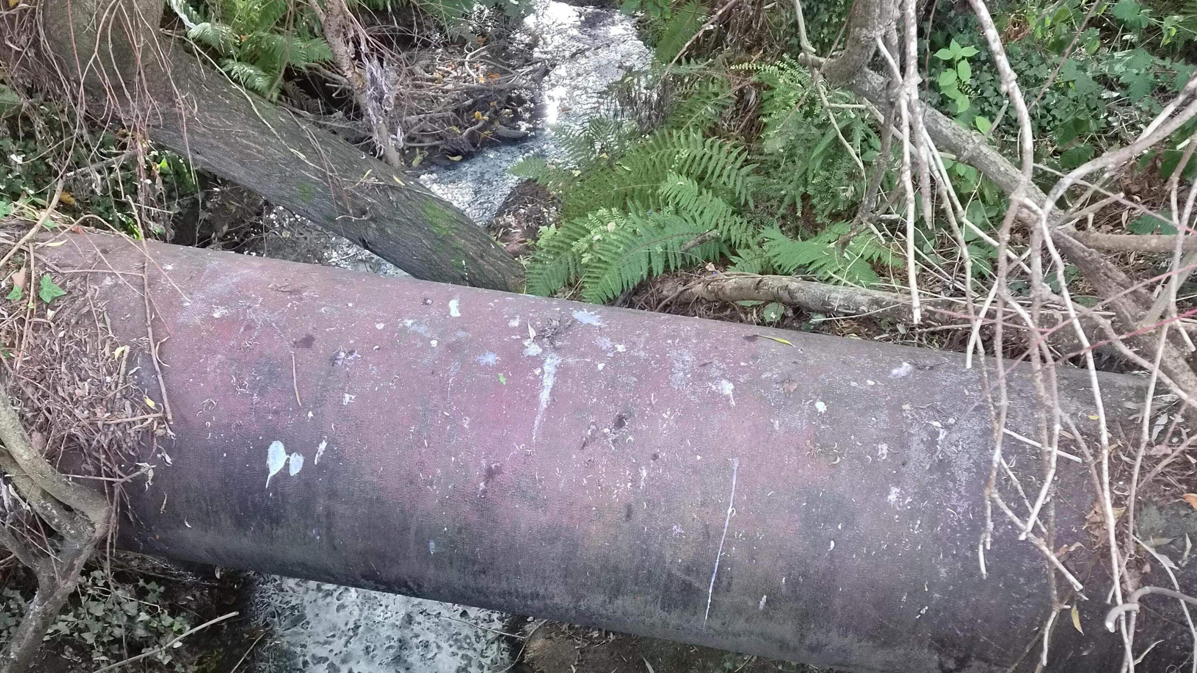 Frustration grows for Wexford village as further pollution in nearby stream located
