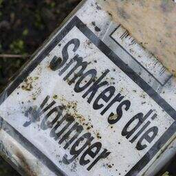stark cigarette Aroma Shot 20 ml KIWI Flavors Smoking in the USSR: Tricia