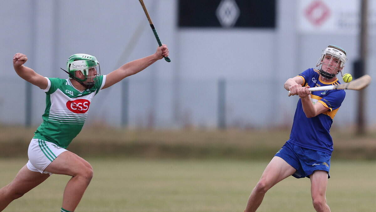 Fionn Darcy fires in hat-trick as champions Carnew Emmets hit Avondale for six