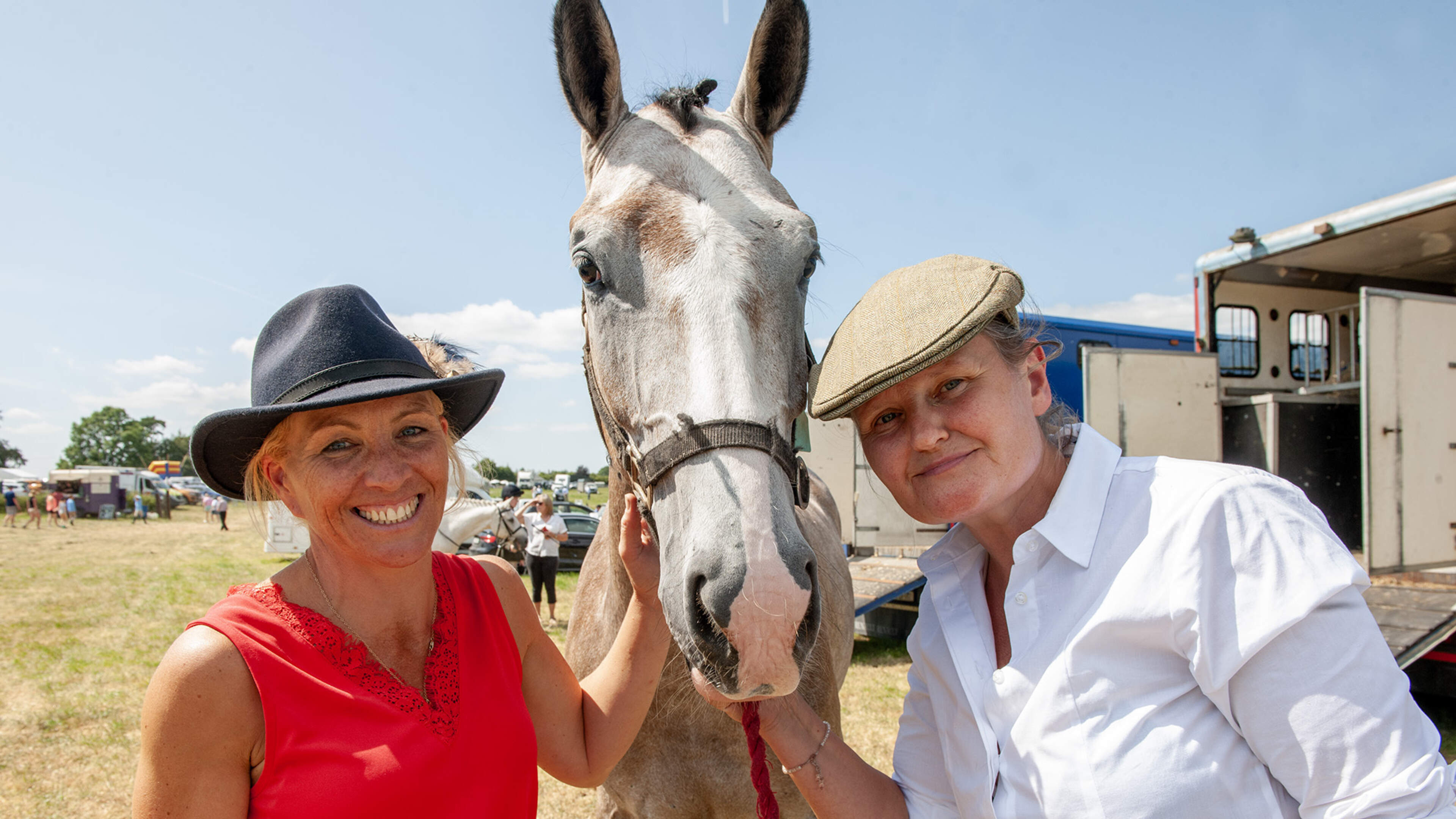 See photos as Wicklow agricultural show draws huge crowds 