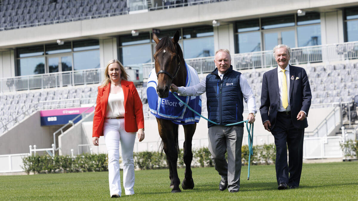 Up to 120,000 people expected to saddle up for Dublin Horse Show and Nations' Cup centenary celebrations
