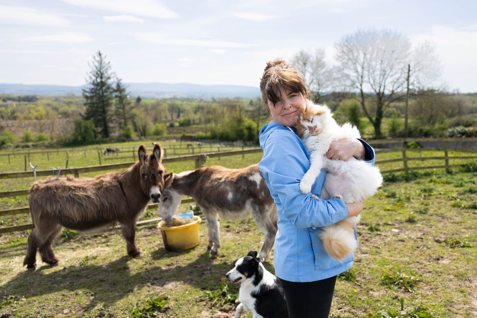 'These people would go to mass and yet watch a beautiful pony starve to ...