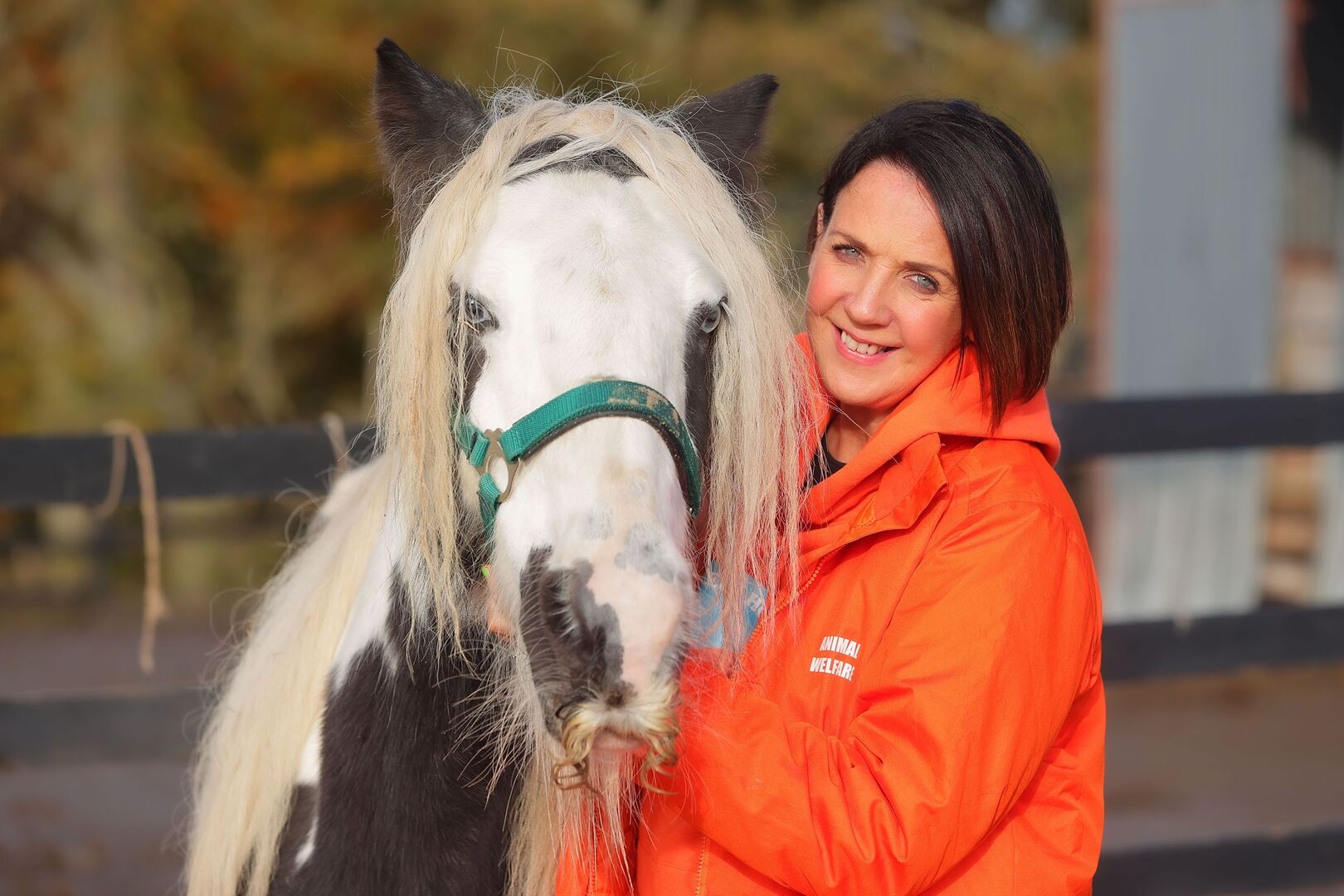 'These people would go to mass and yet watch a beautiful pony starve to ...