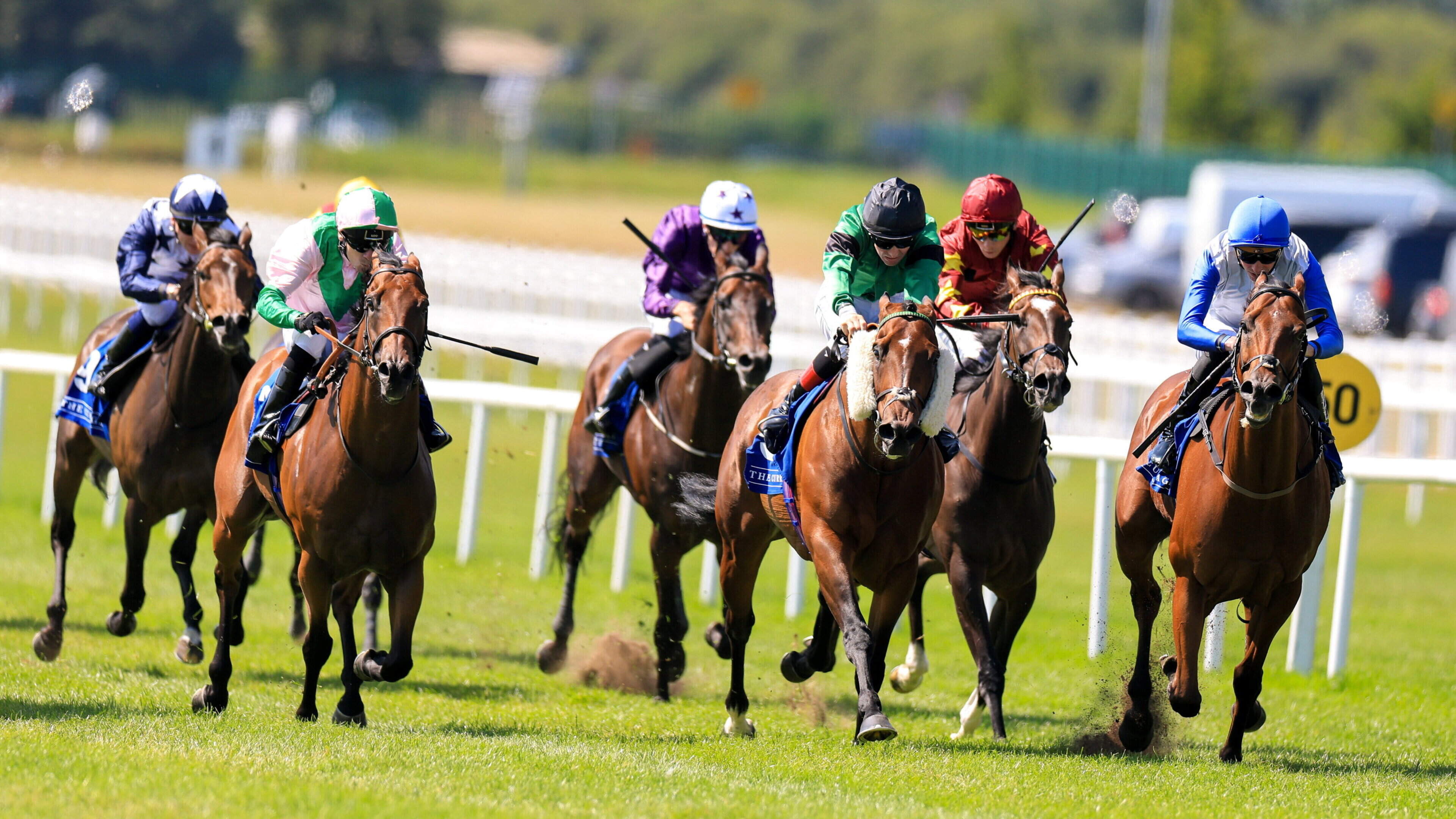 Declan O’Donoghue: Irish Champions Festival Day 2 – Race-by-race guide to Curragh action