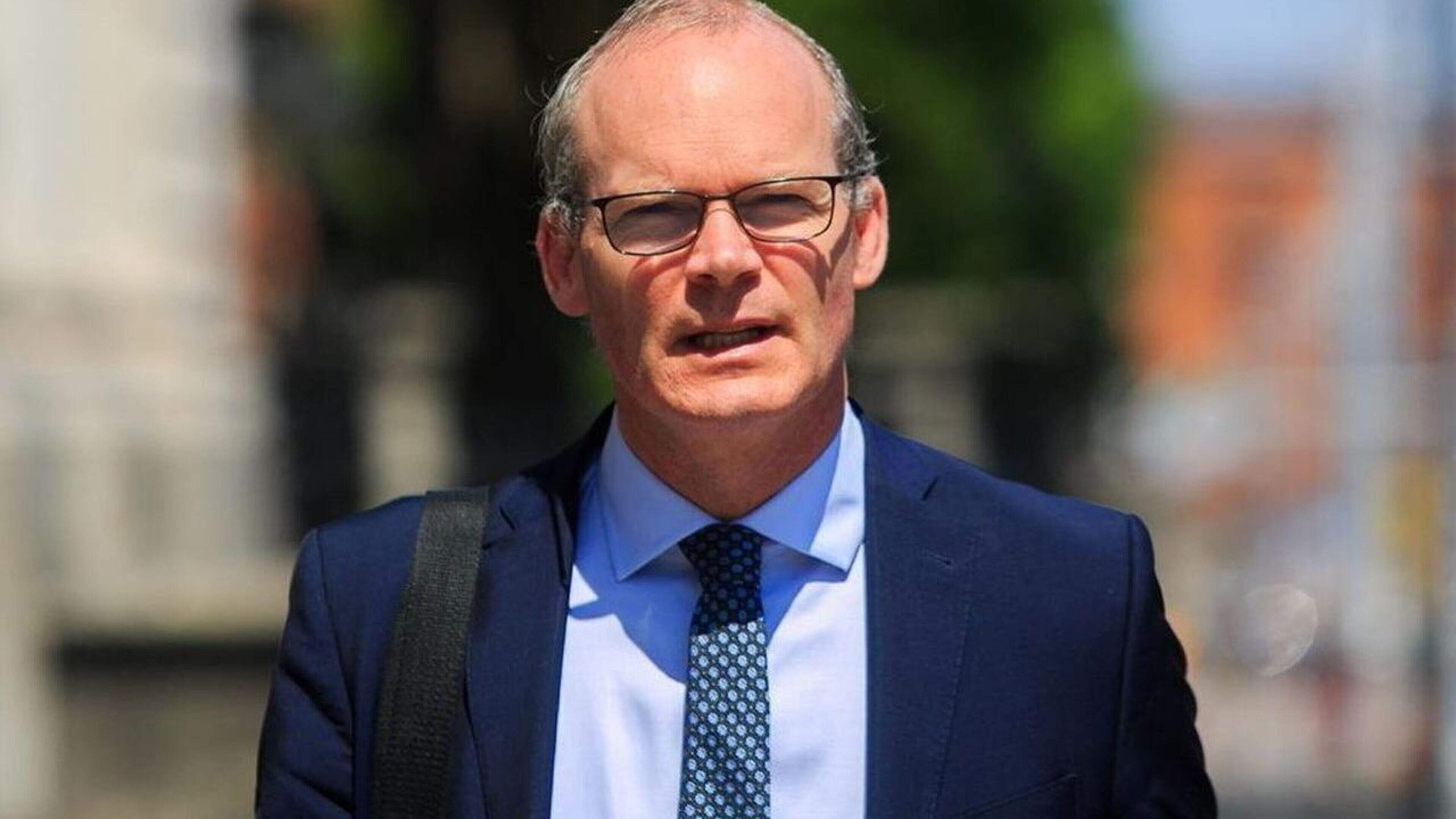 Former Tánaiste has ‘no eyes’ for politics after setting up consultancy firm