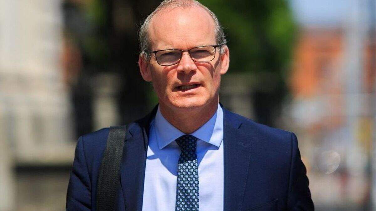 Former Tanaiste has 'no eyes' for politics after setting up consultancy firm