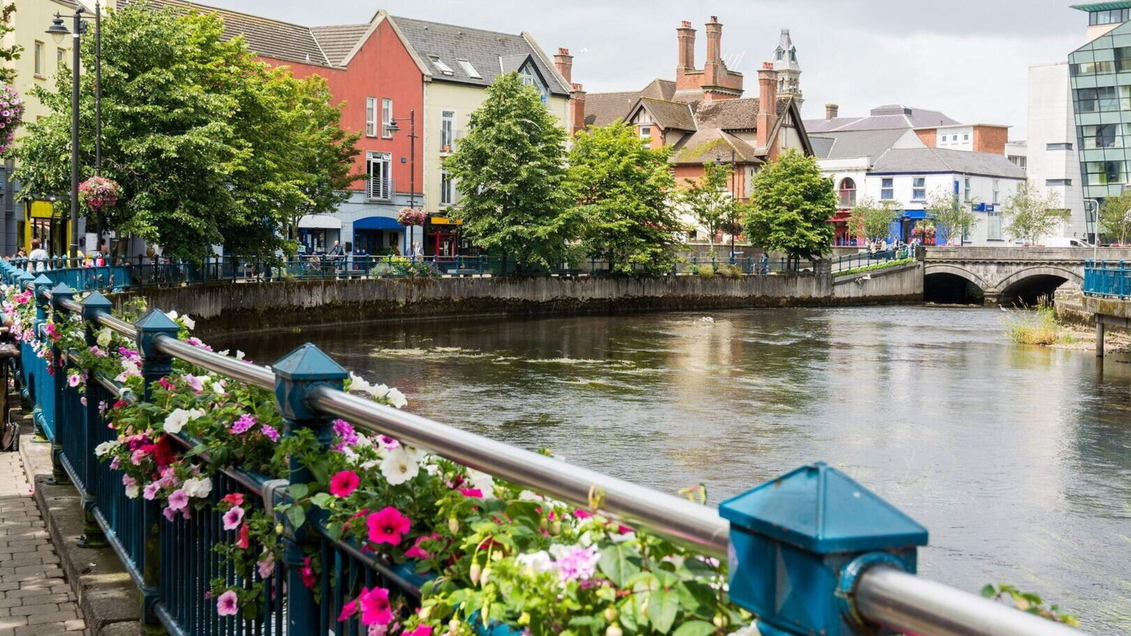 Sligo retains top spot in IBAL litter rankings