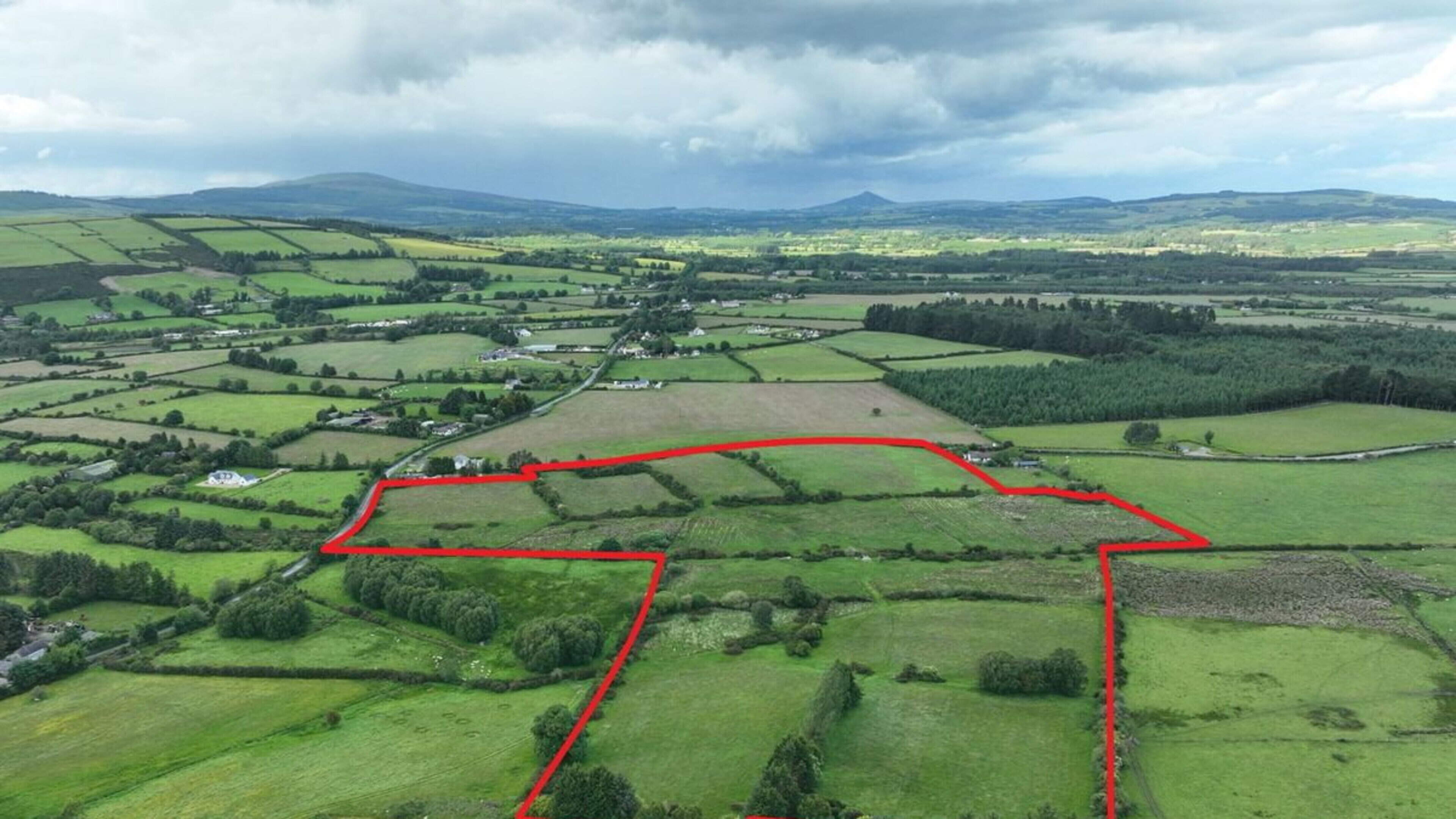 33ac Wicklow holding with grazing land and natural water supply to be auctioned with €340,000 guide