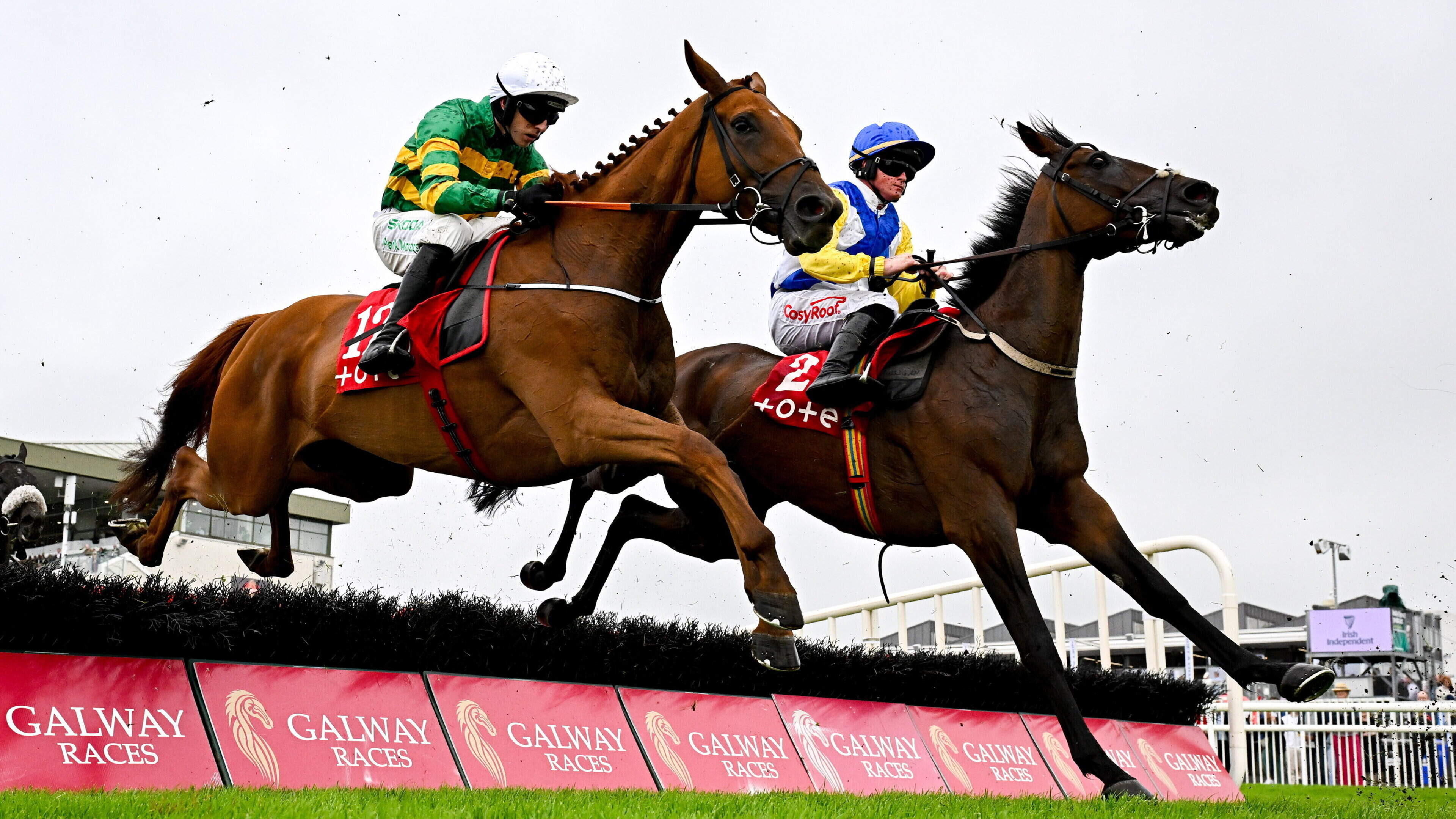 Over €74m was bet through Tote Ireland last year