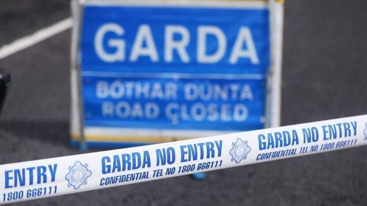 Motorcyclist (50s) dies in single-vehicle crash in Dublin