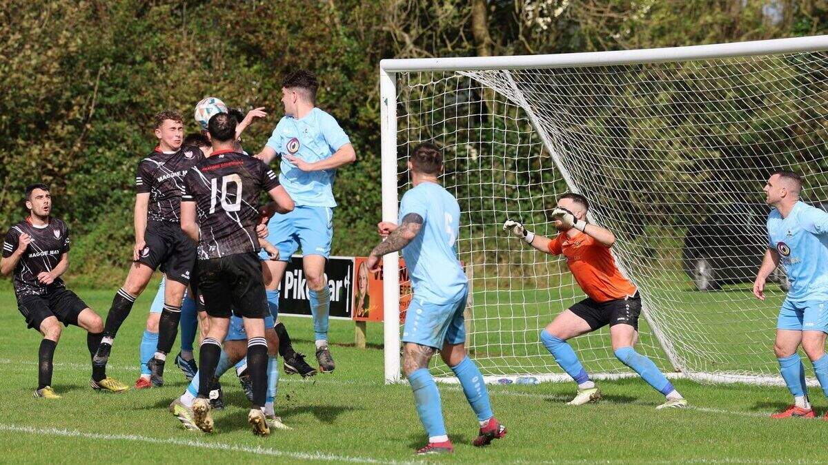Wexford Football League: Derby joy for North End United against Wexford ...