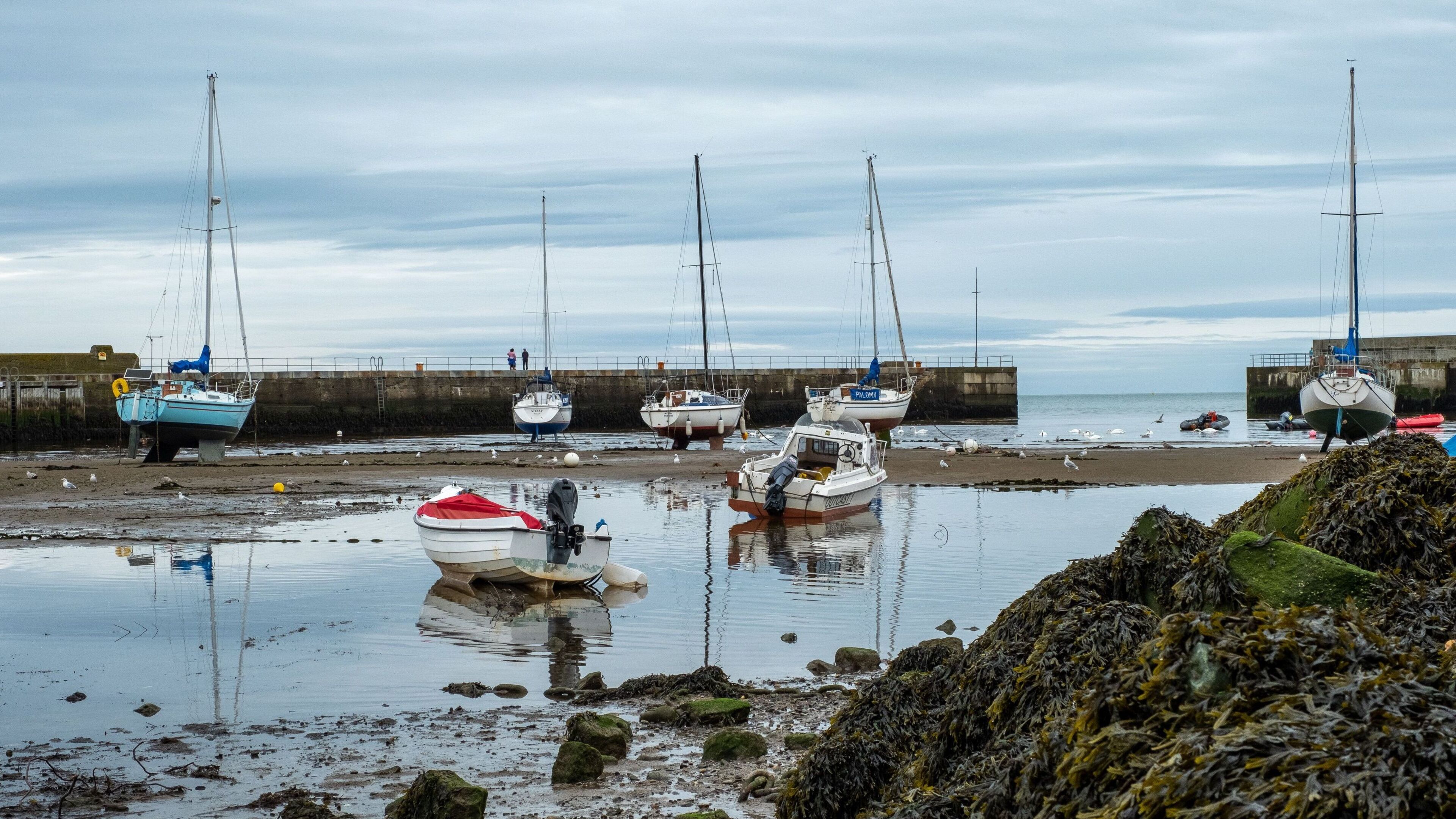 €7m Bray Harbour project yet to progress beyond early design stage despite conditional approval