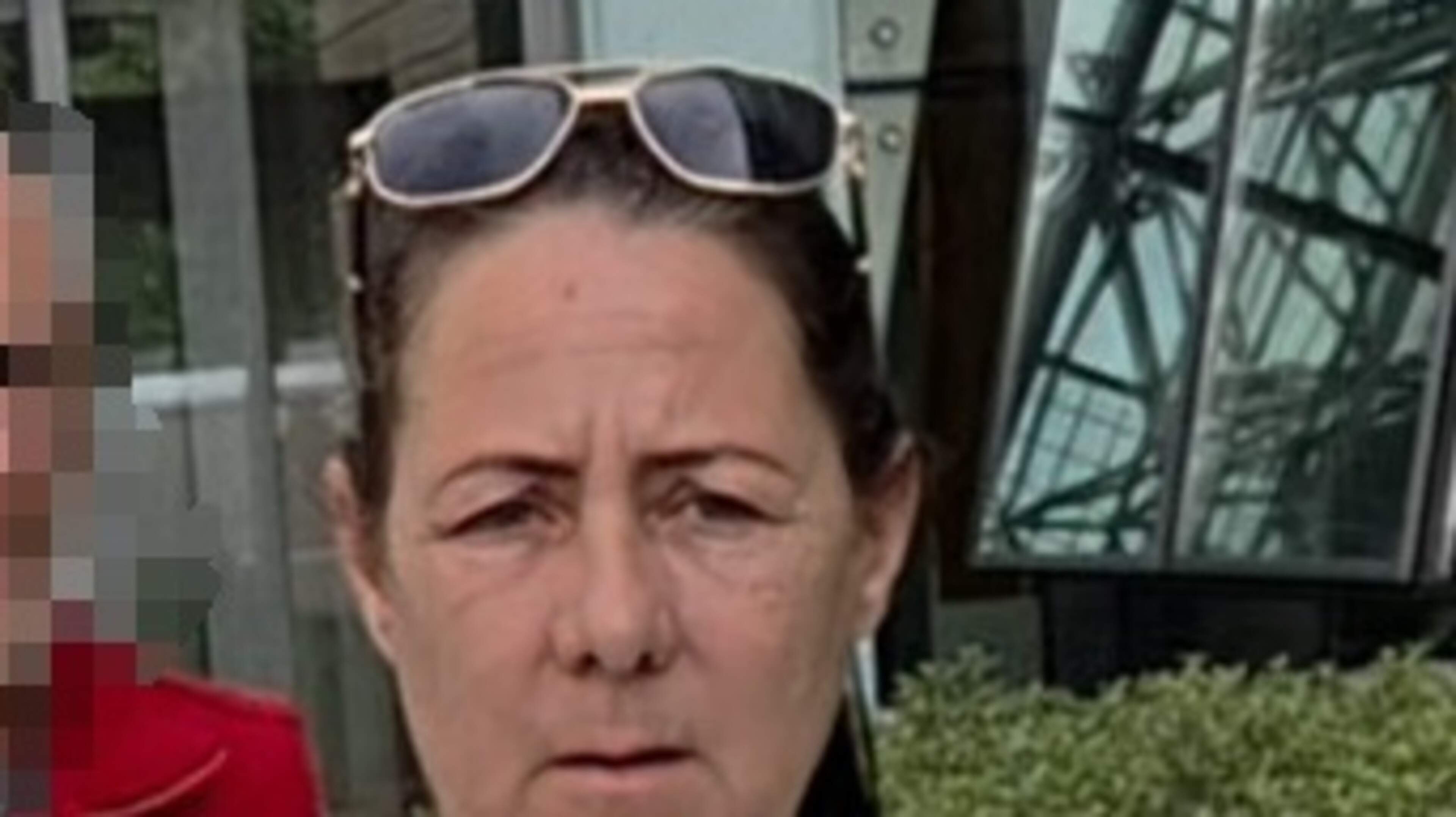 Woman waved metal pole and screamed threats at gardaí