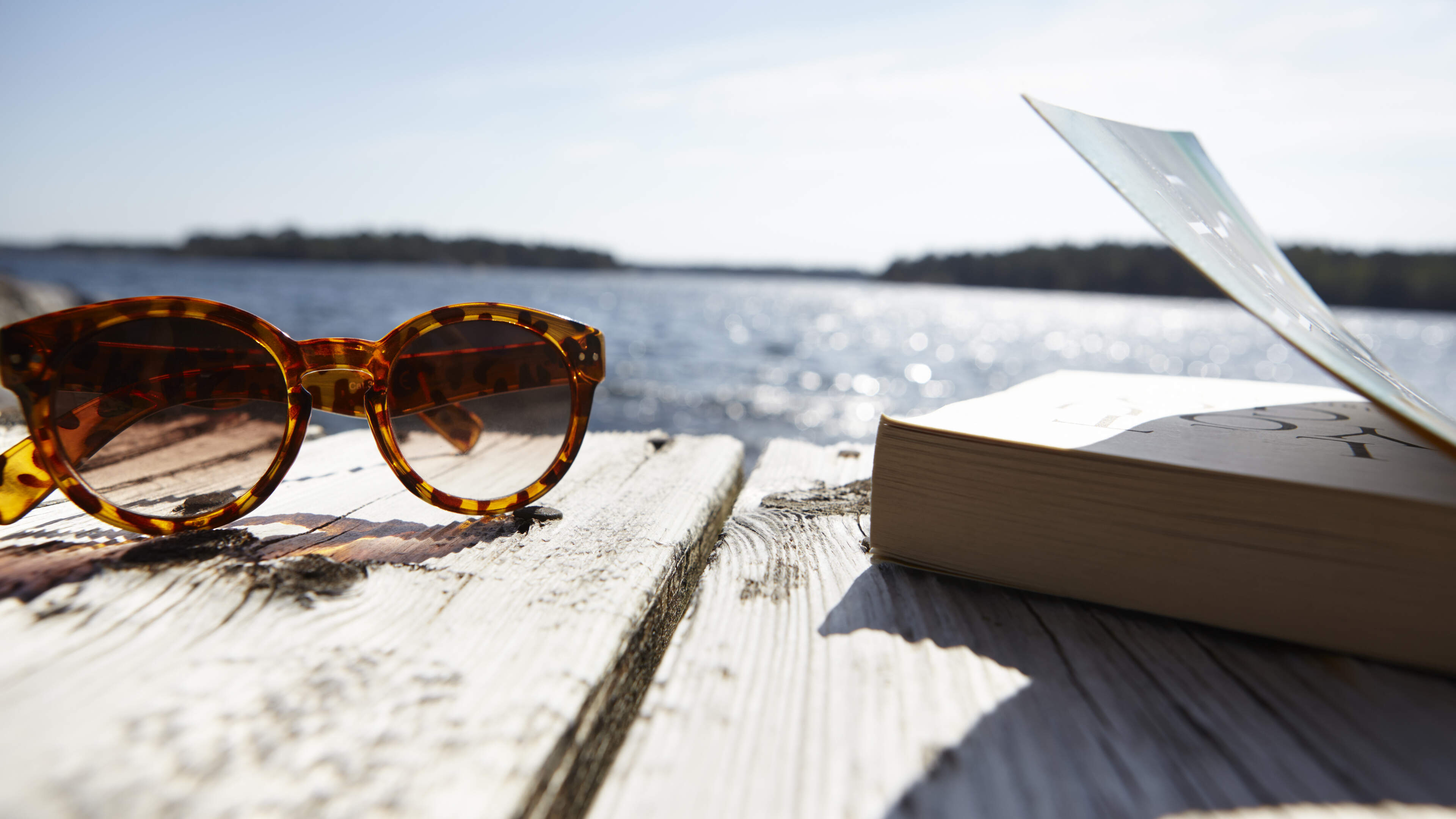 What makes a summer novel and which new titles deserve a place on the list?