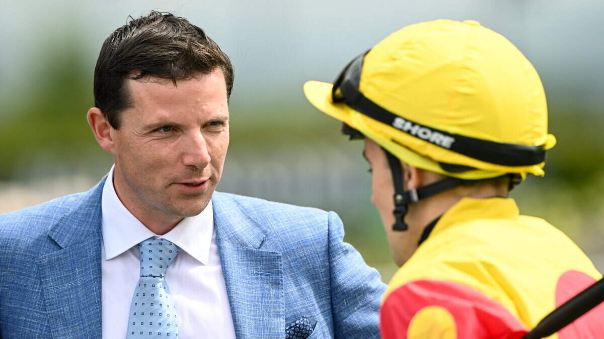 Michael Verney's Day 2 Galway preview: Stephen Thorne can be on side of punters with ‘Edge' primed to plunder feature