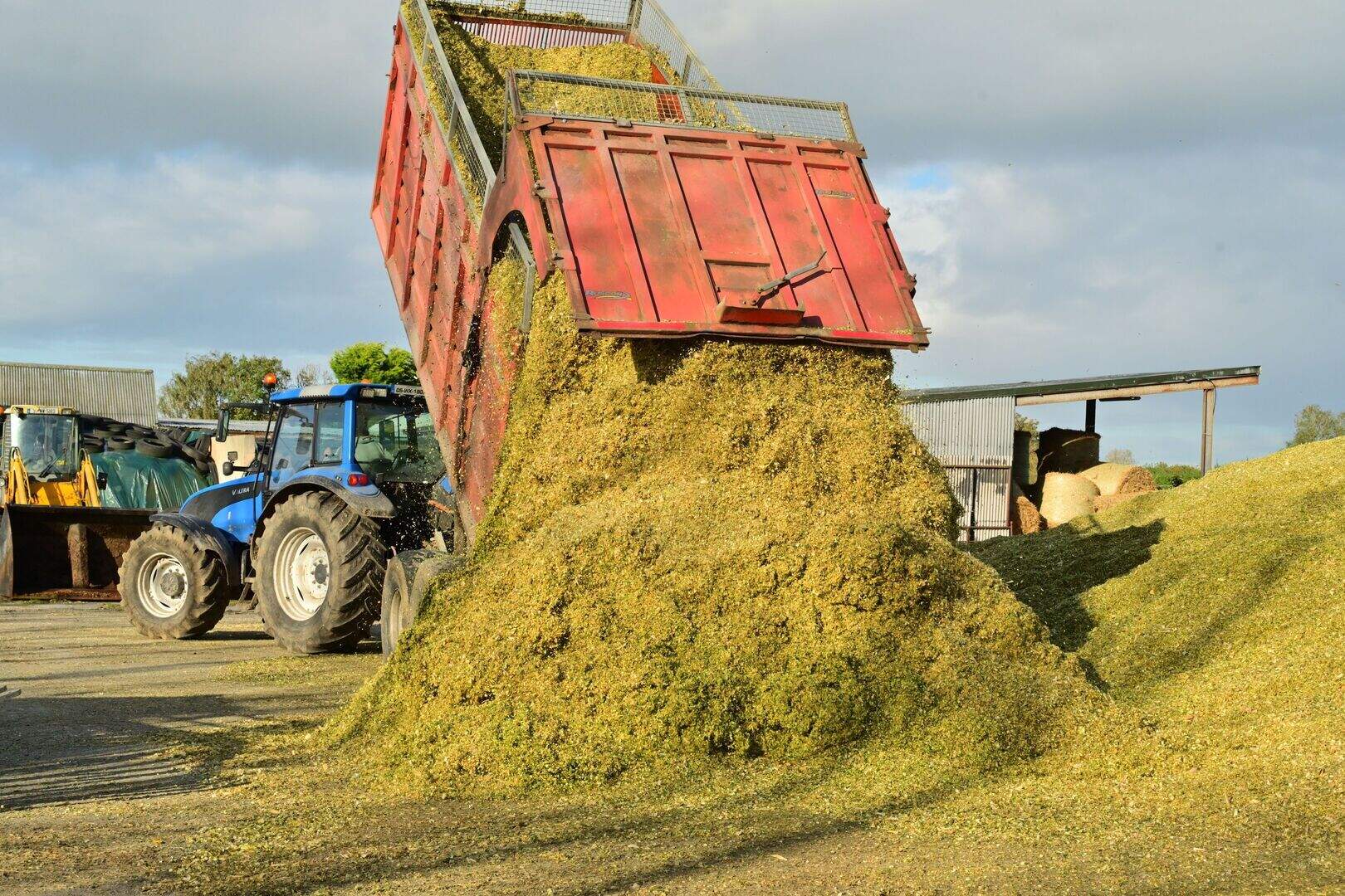 Gerry Giggins: Tips for stretching out your diminishing silage stocks ...