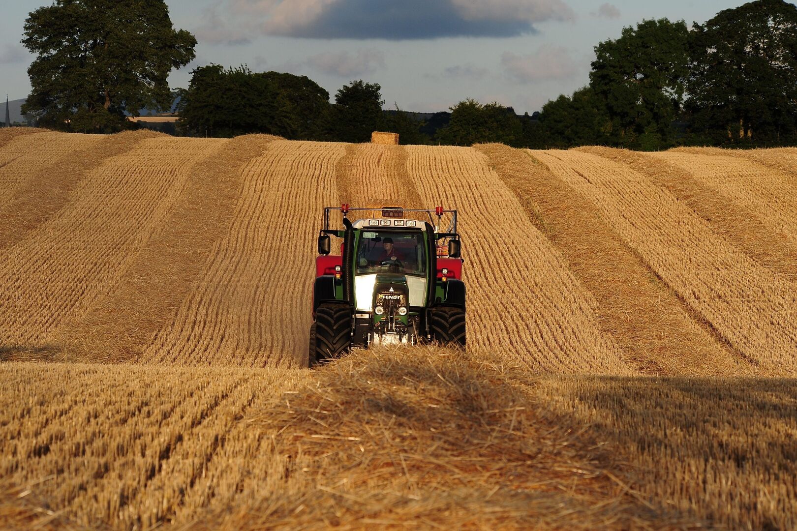 Why your straw may be worth more than you think | Irish Independent