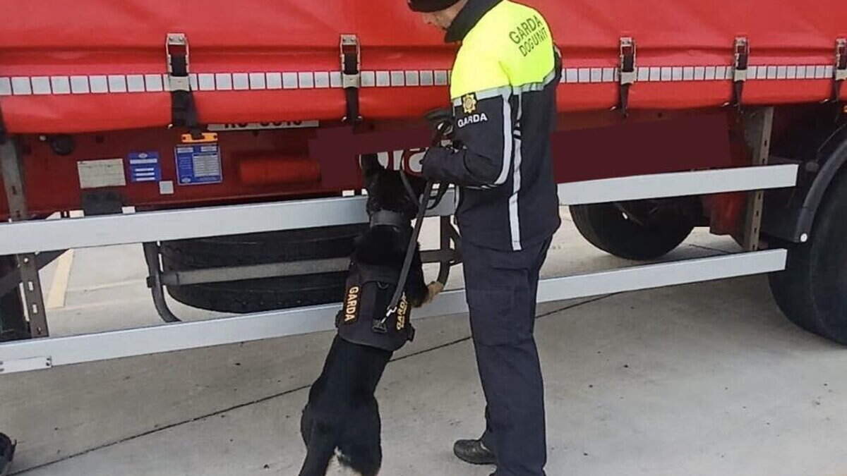 Wexford Gardai welcome Ogie from the dog unit as drug smuggling becomes increasingly complex