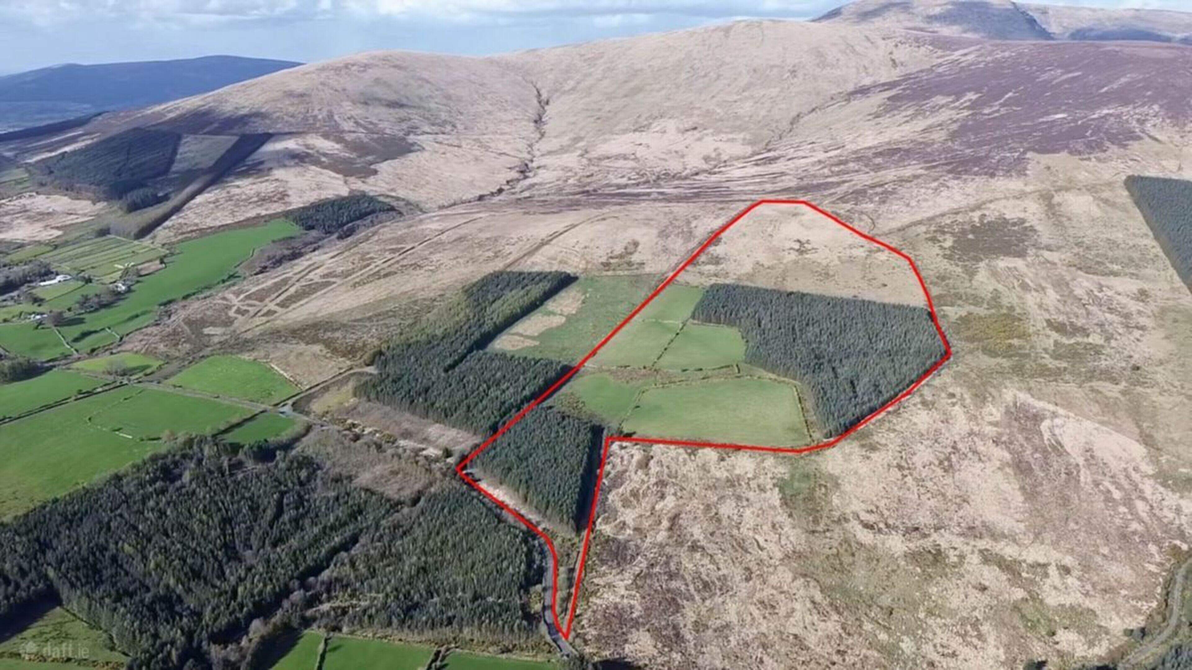 61-acre Wicklow holding sells after falling short of auction reserve 