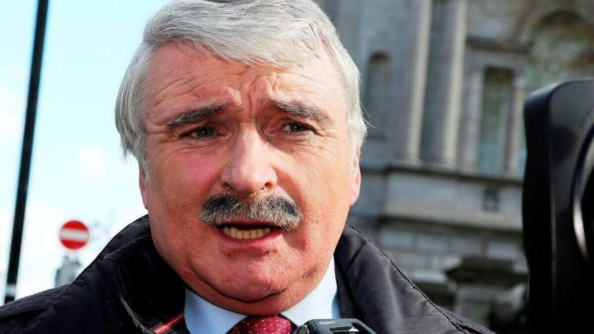 Willie O’Dea urges creation of public defenders office to end legal aid strike disruption