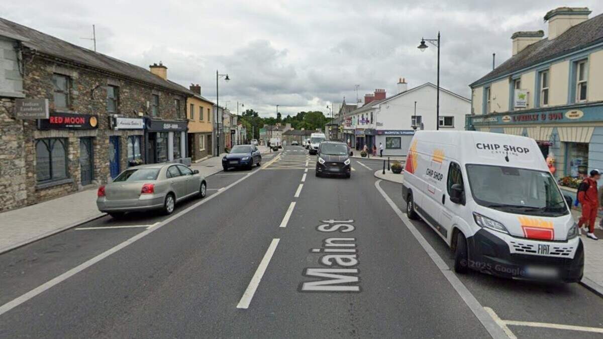 Garda sergeant injured as naked man resists gardaí in Cavan
