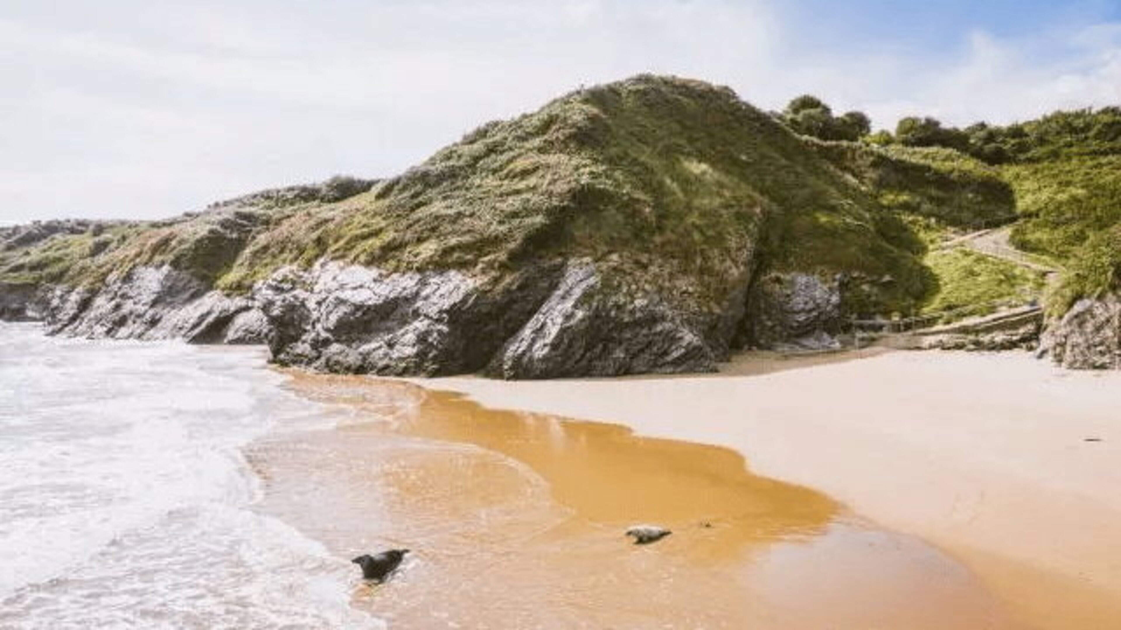 Woman in her 60s dies after being pulled from the water at popular Wicklow beach