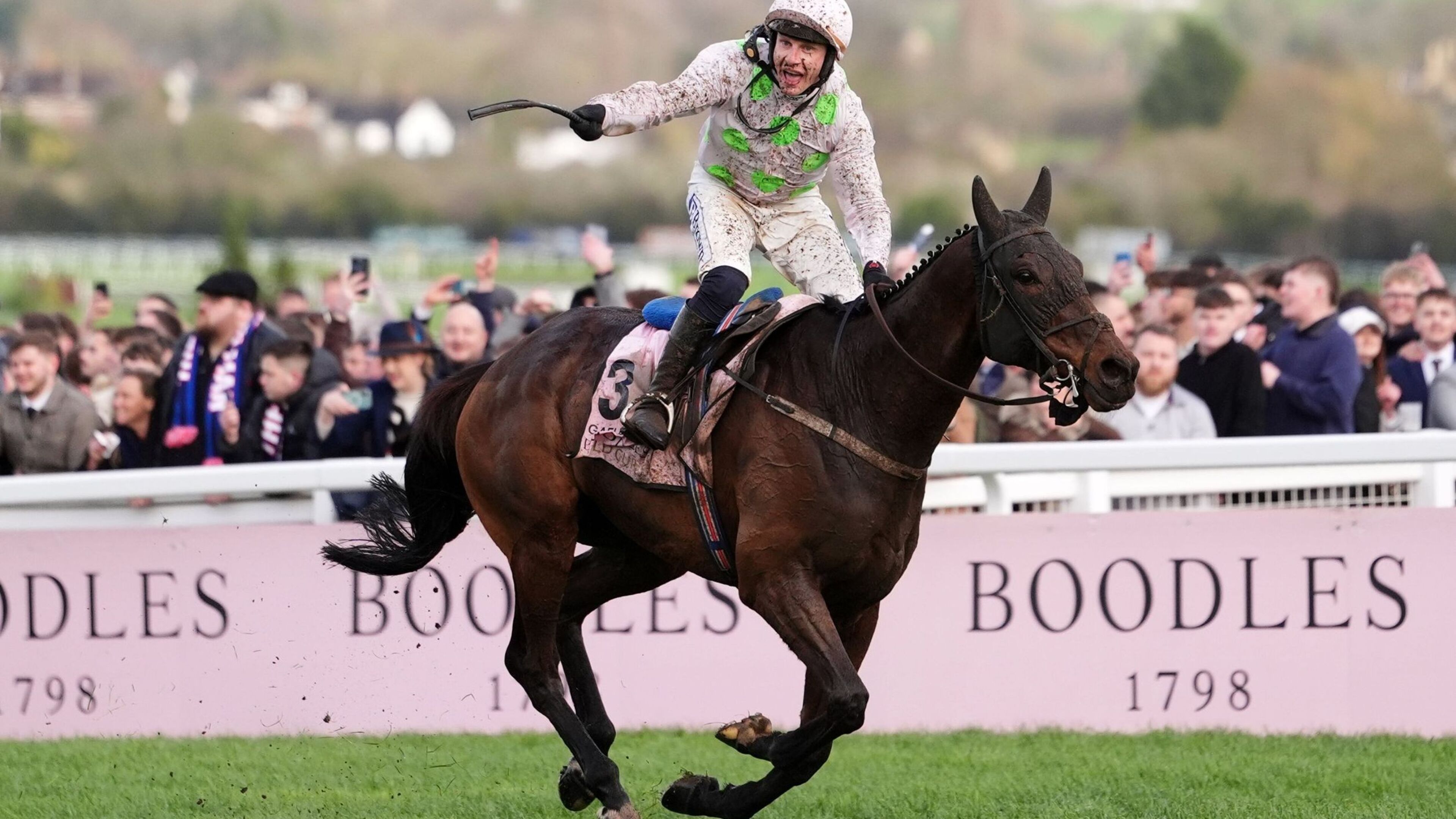 Gaelic Warrior confirmed as the best jumps horse around after season’s rankings revealed