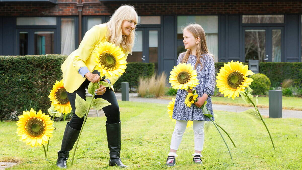Countdown is now underway for this year's Hospice Sunflower Days campaign to help raise funds for the North West Hospice
