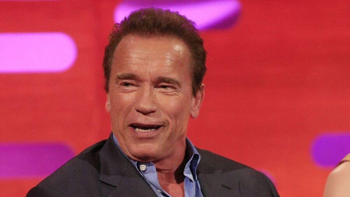 Terminator 'surprised to be back' | Irish Independent