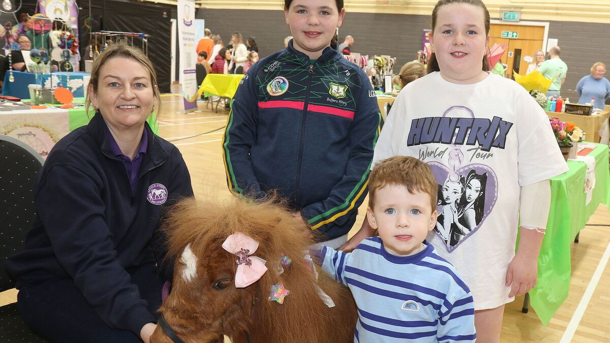 Disability fun day in honour of Wexford woman raises money for ...