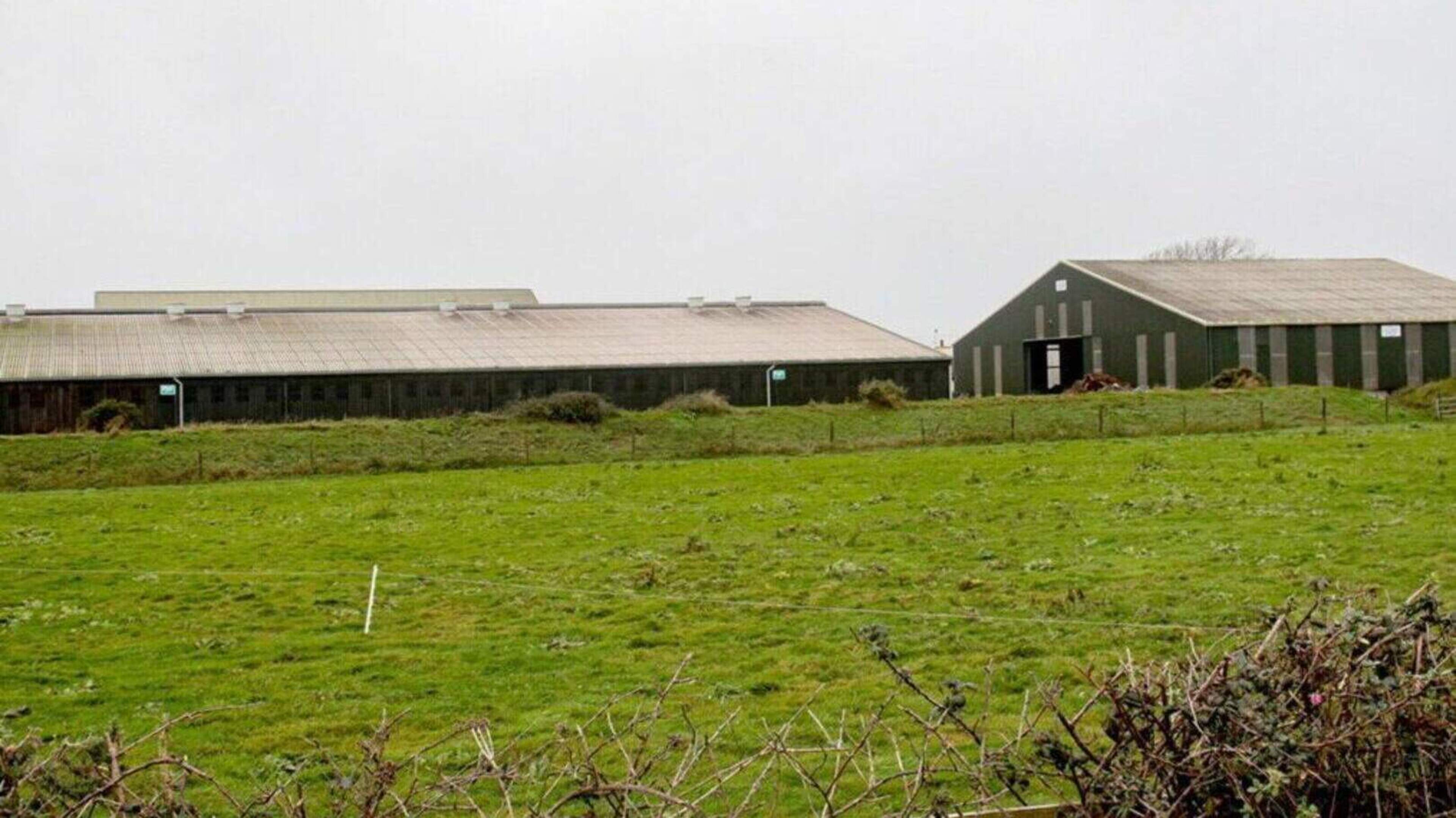 Wexford pig farm found in breach of planning regulations
