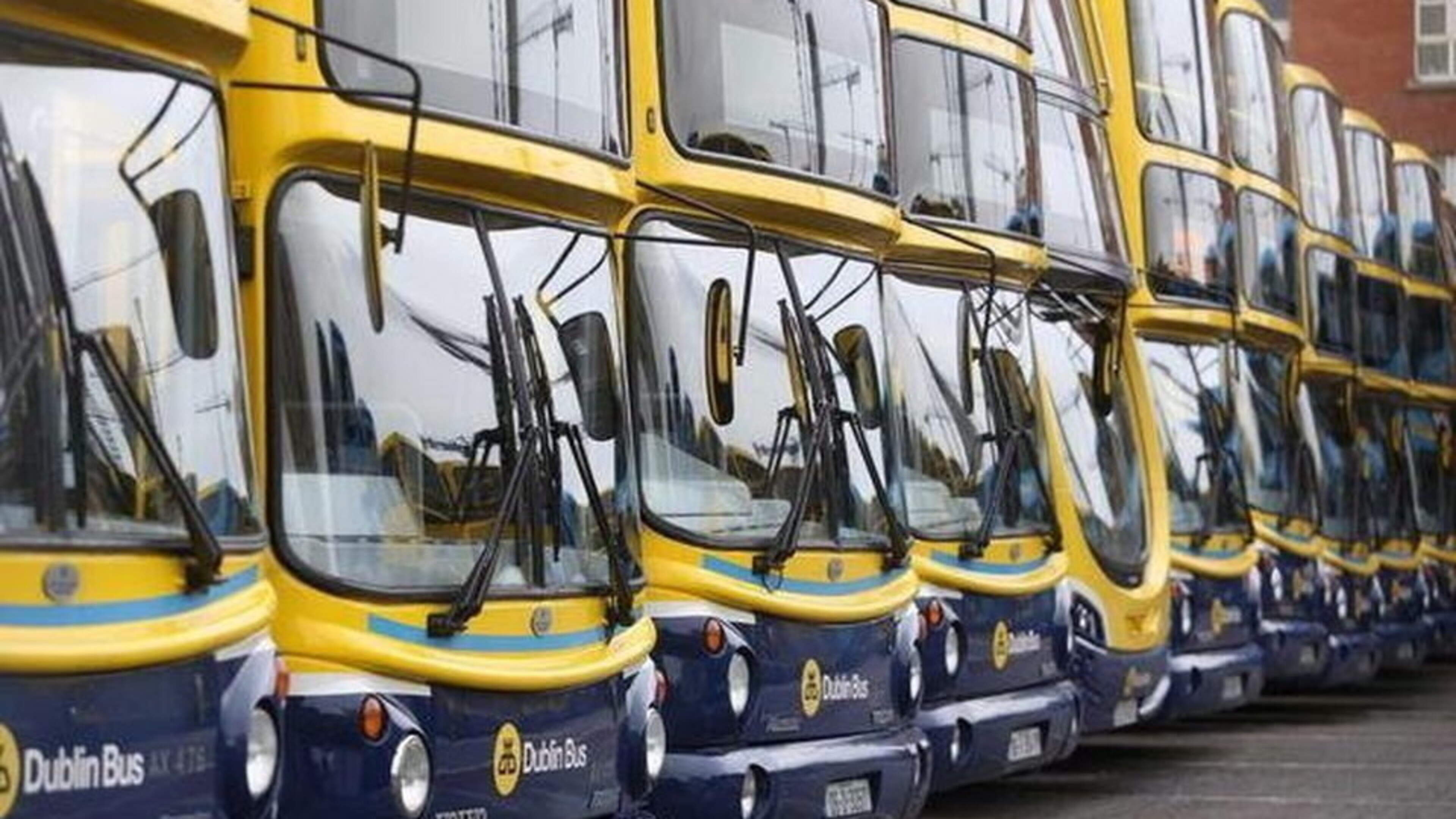 Drunken dad-of-two who told gardaí to ‘f*** off’ on bus was ‘allergic to alcohol’