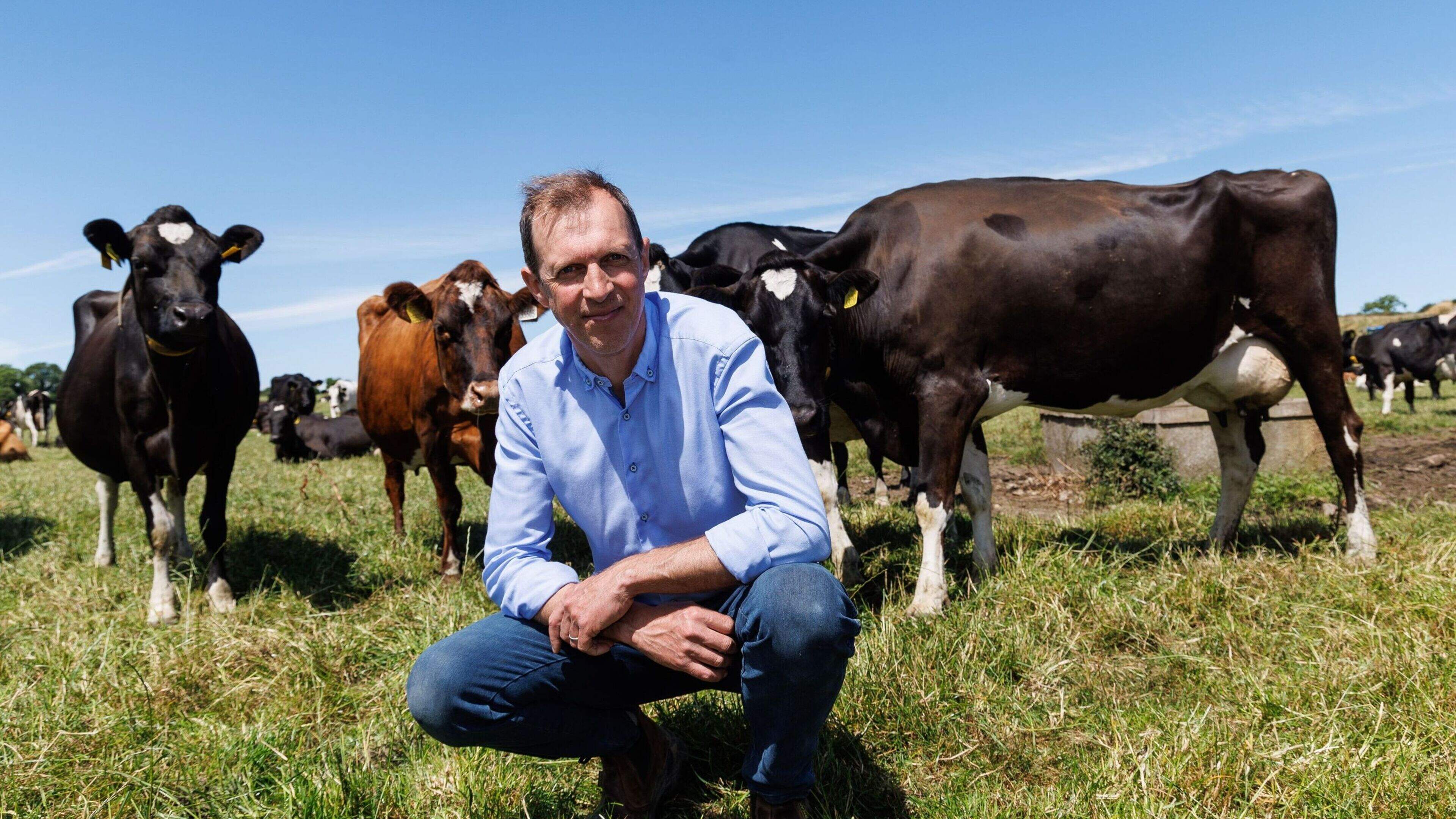 Did we have a brush with bluetongue in the dairy herd this spring?