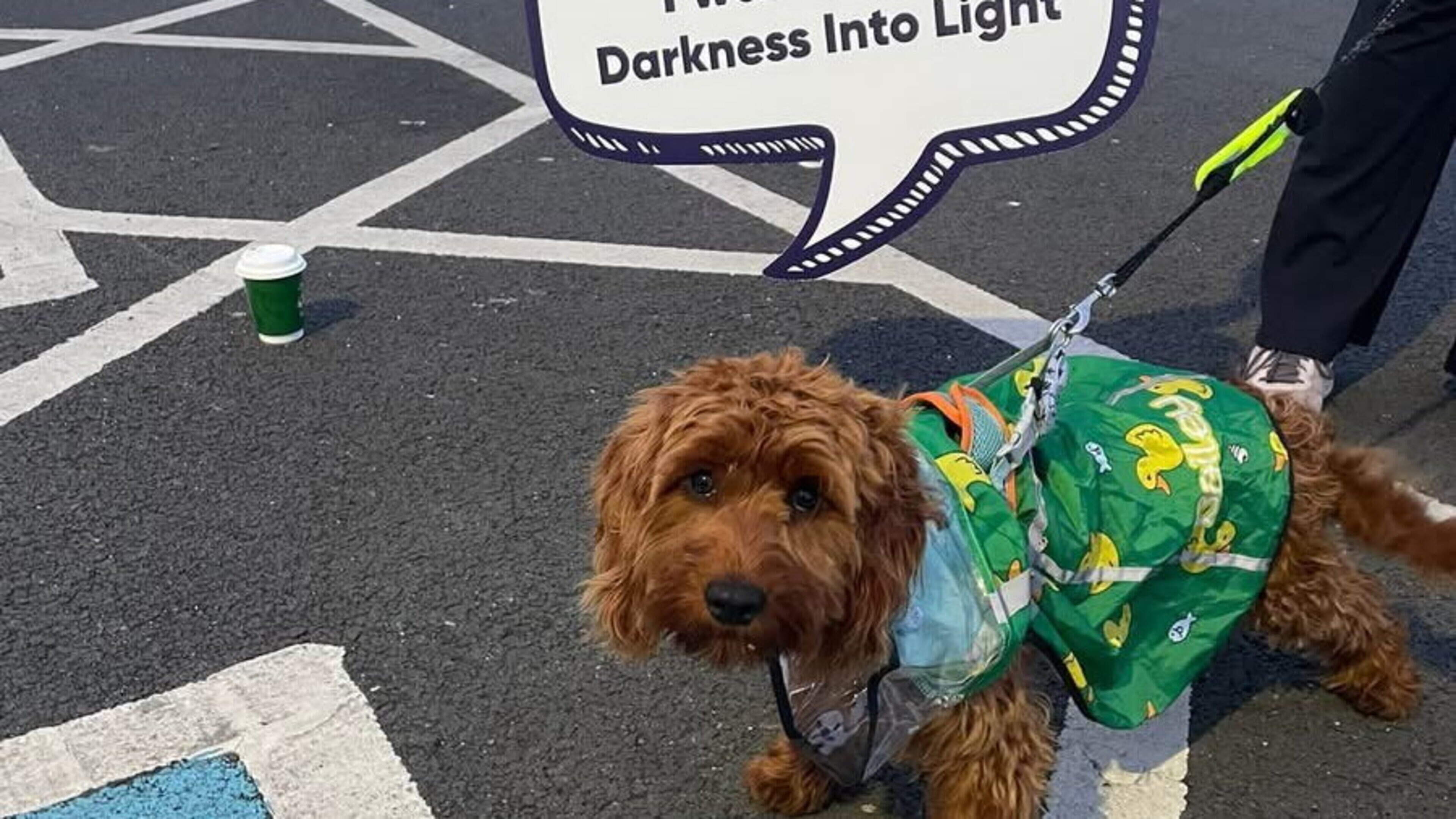 Wexford group raises over €17,000 for Darkness into Light thanks to community support — ‘We are very proud of our town’