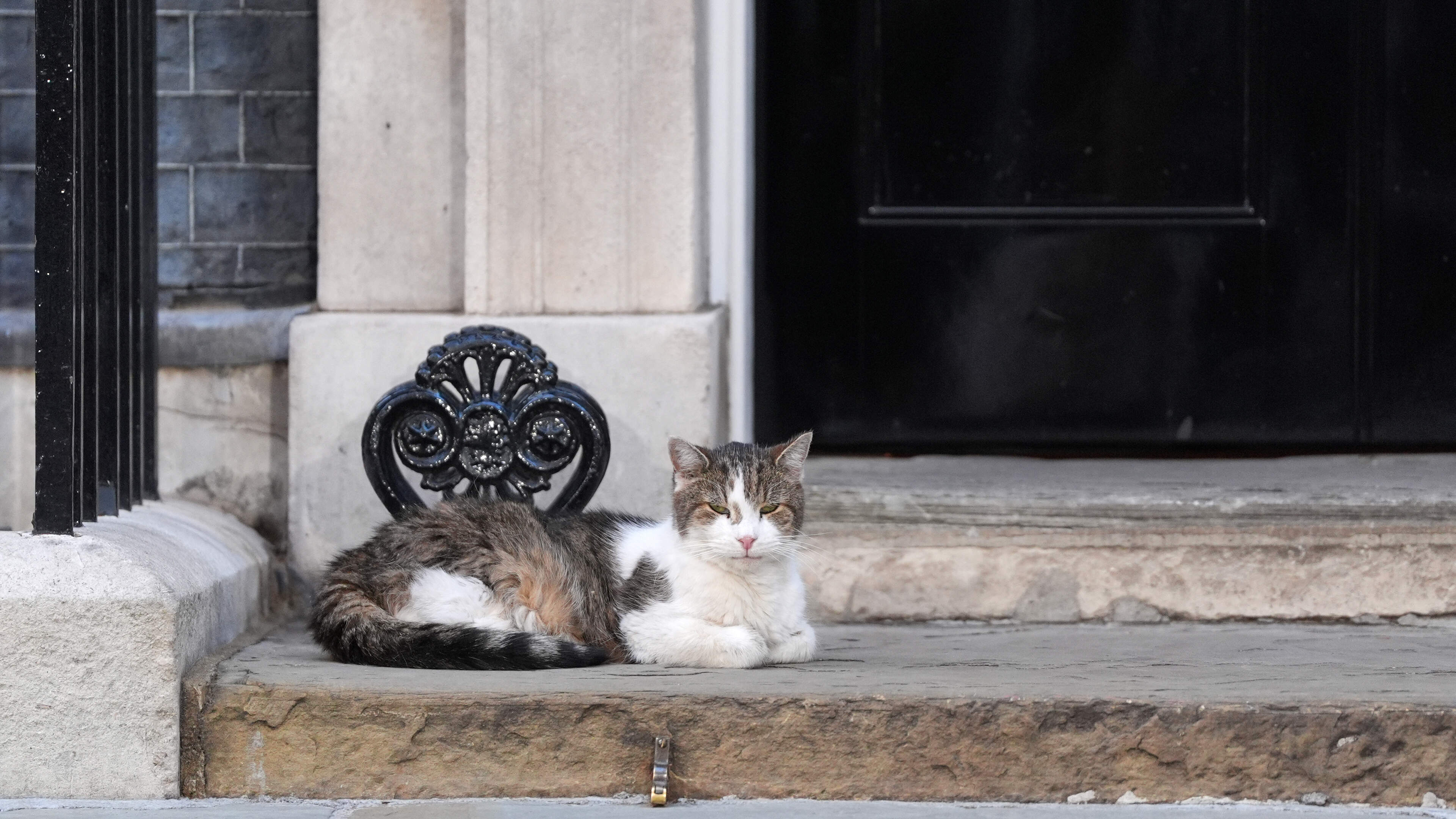 Mary Kenny: Andy Burnham knows better than to cross Larry the cat, the king of Downing Street 