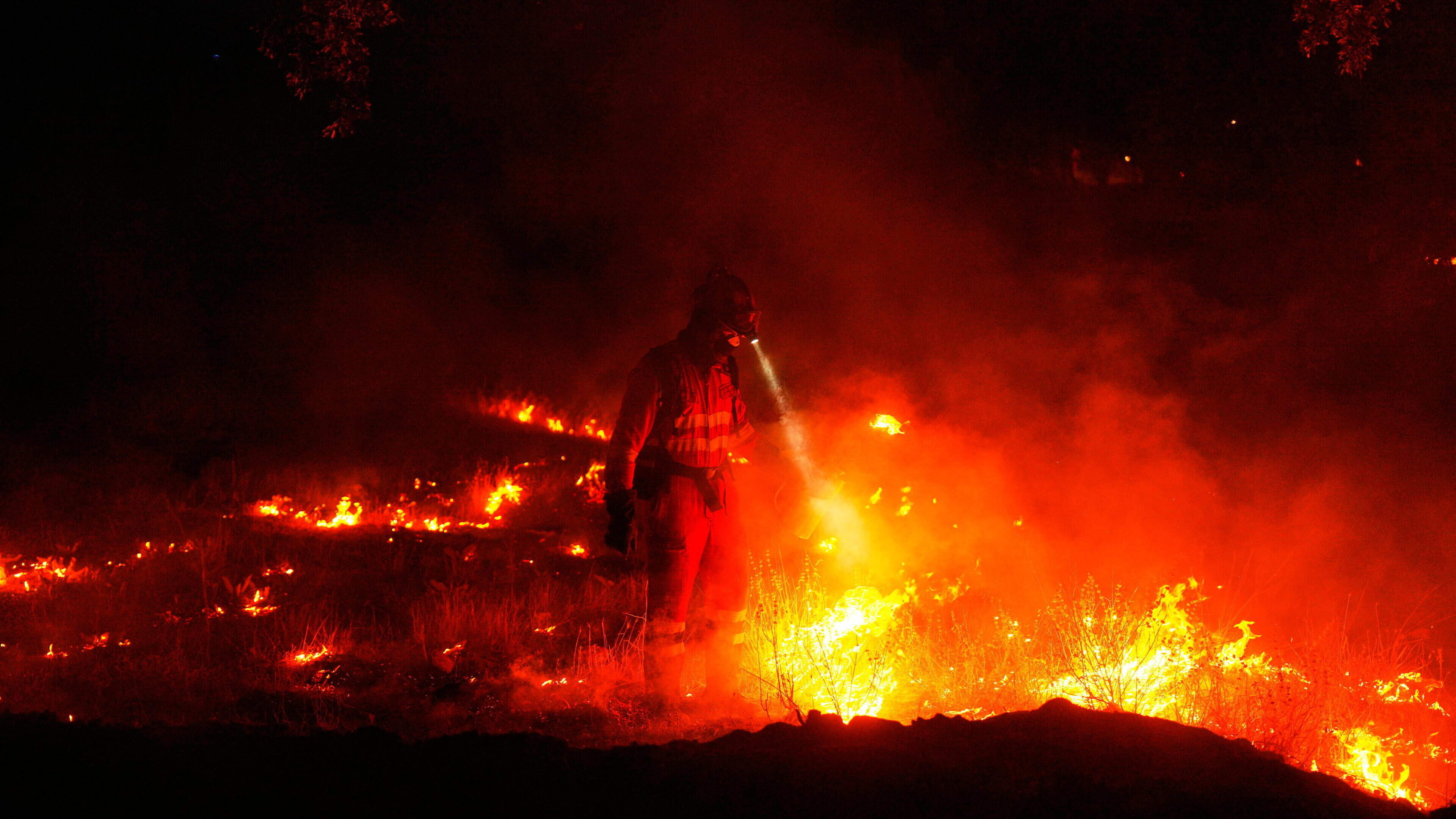 ‘Worst crisis since World War II’ – wildfires sweep across Europe as temperatures soar and resources stretched