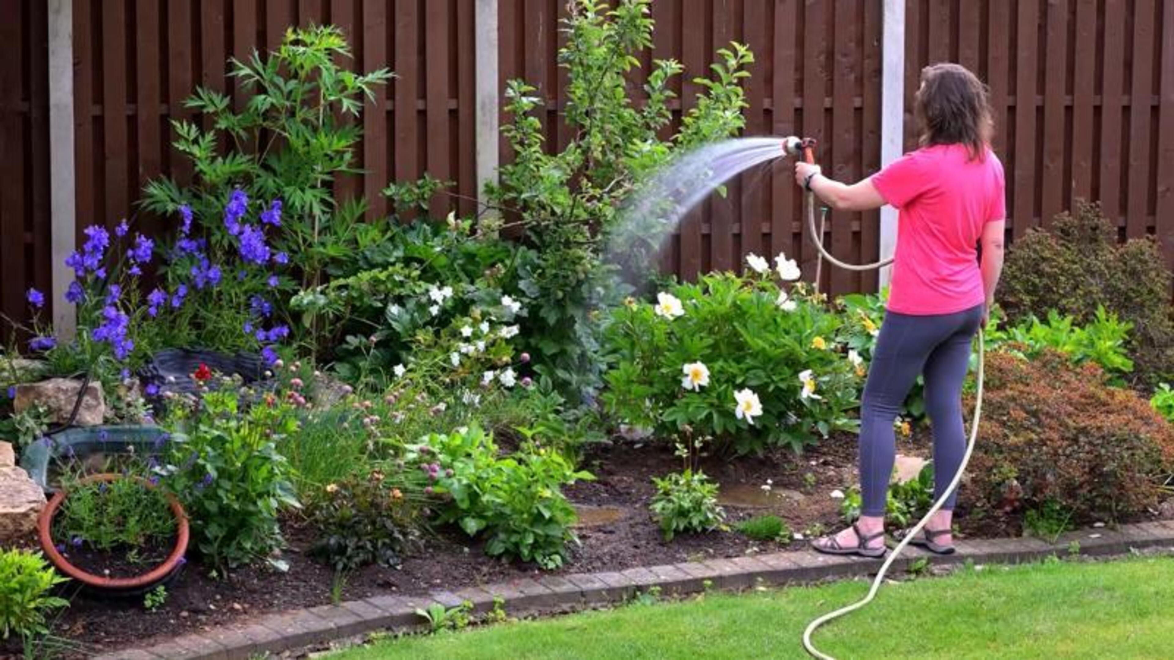 Hosepipe ban to be extended nationwide as long‑range forecast signals continued pressure on water supplies