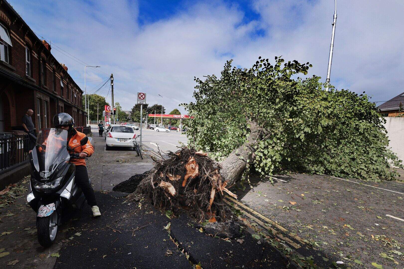 Over 300 fallen trees cleared in county Dublin after Storm Betty ...