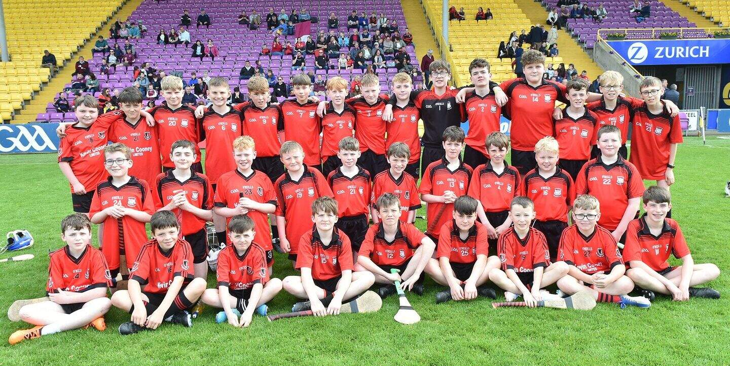 Oulart-The Ballagh edge out Castletown in classic Rackard League ...