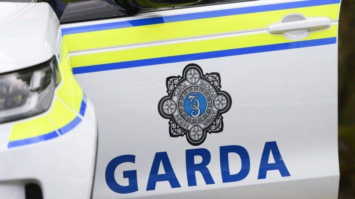 Young man remains in critical condition following alleged assault in Co ...