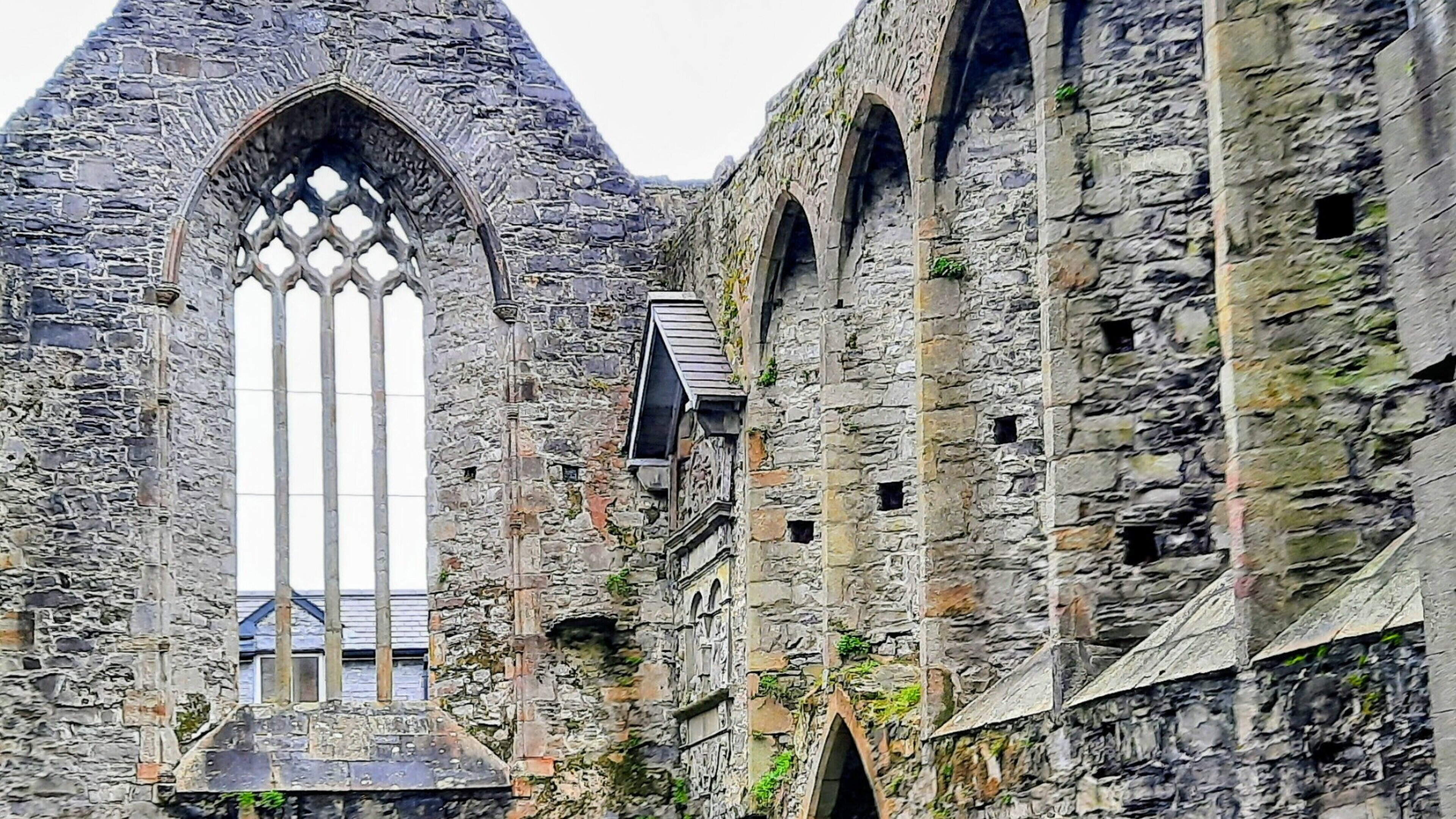 Sligo Abbey hosting array of events for Heritage Week