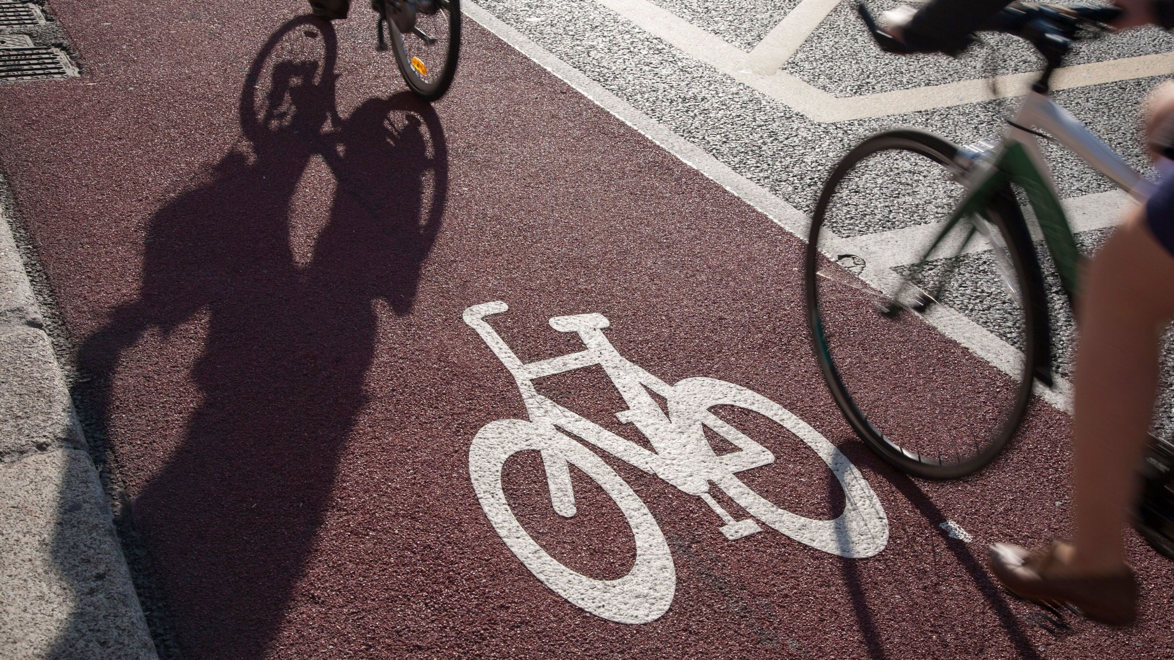Cycle lanes in Dundalk ‘unusable’ due to poor maintenance, councillors warn
